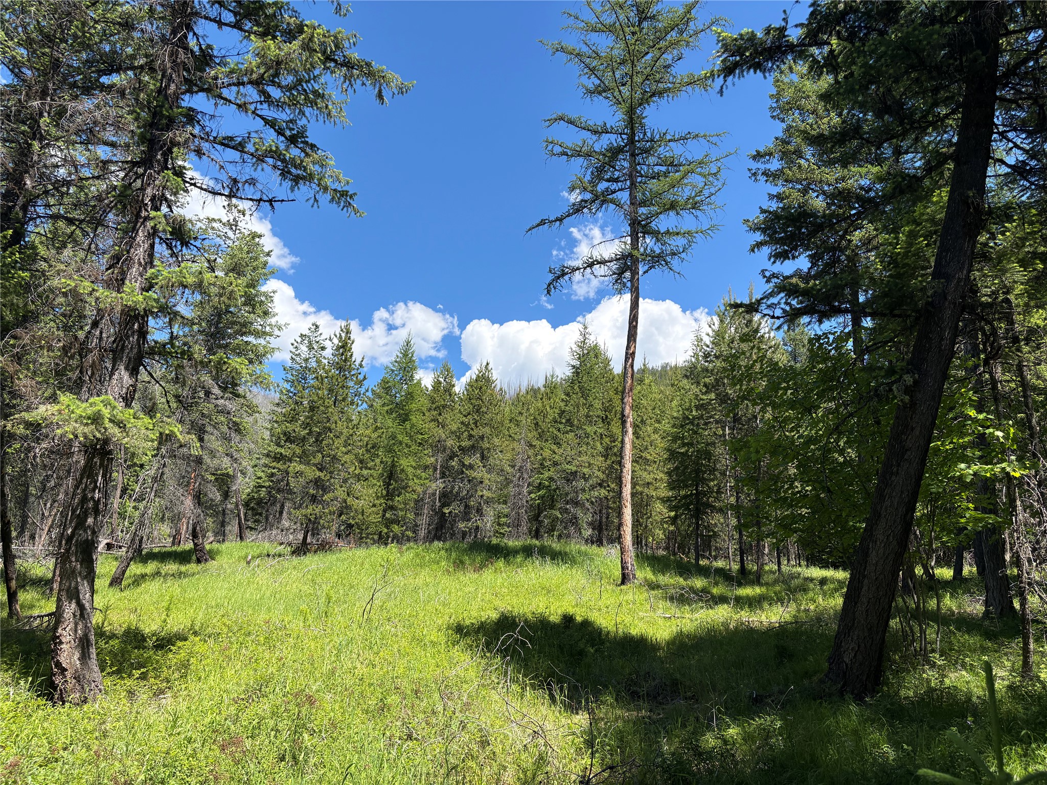 8025 Therriault Pass Road Property Photo 37