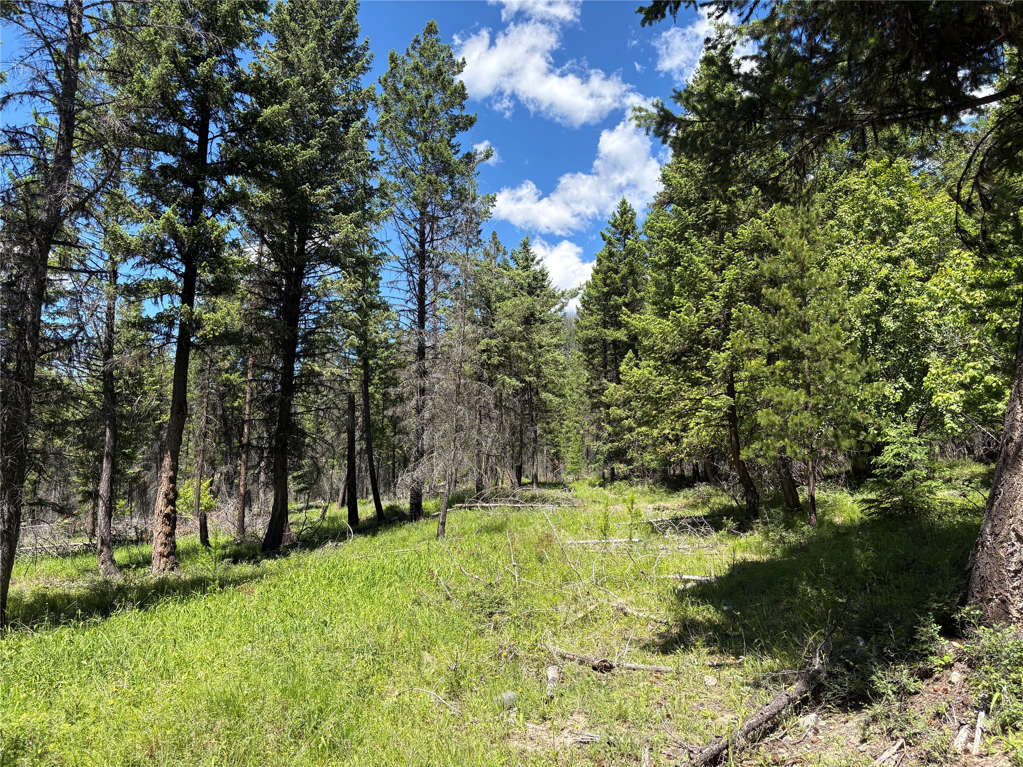 8025 Therriault Pass Road Property Photo 40