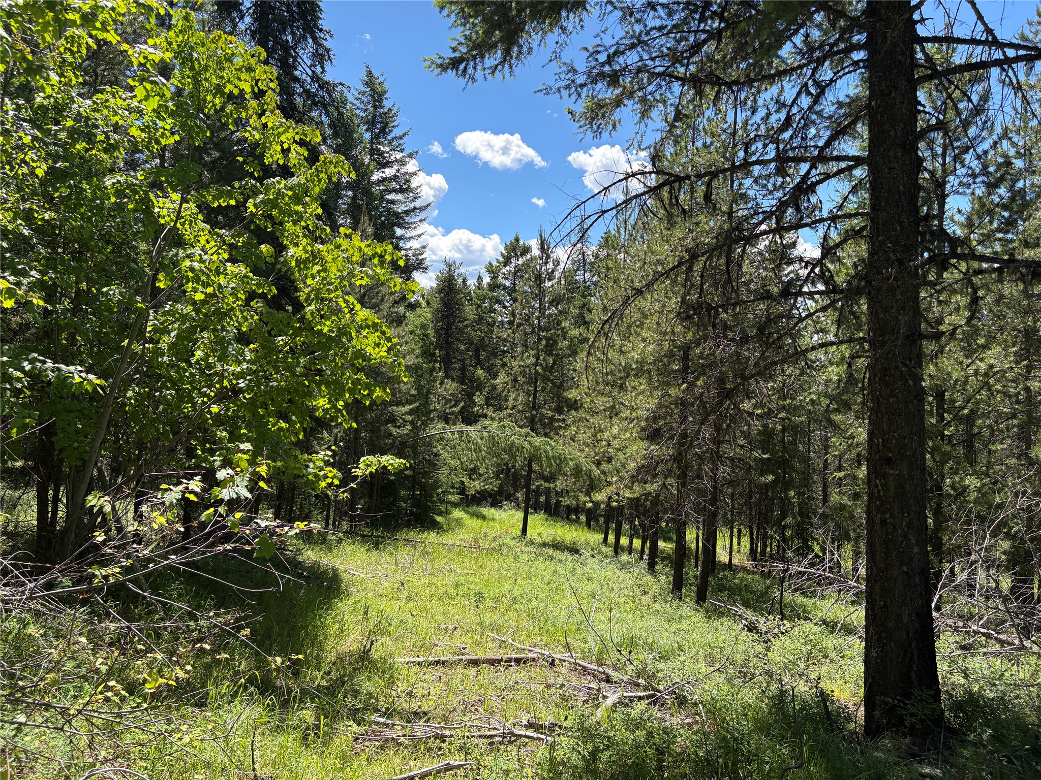 8025 Therriault Pass Road Property Photo 41