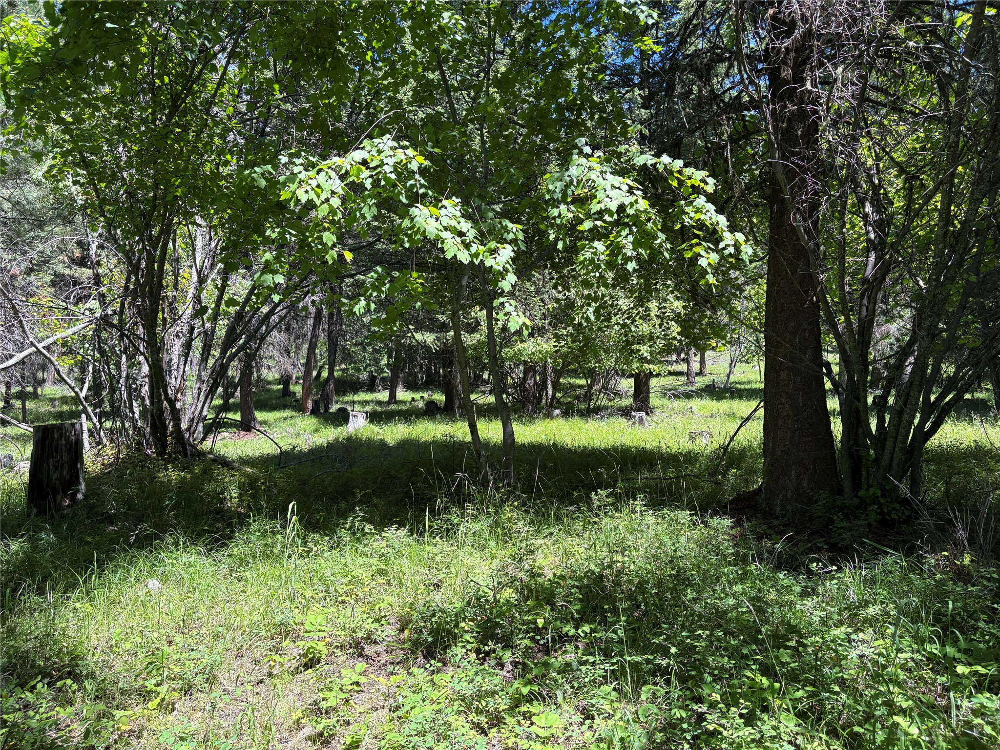 8025 Therriault Pass Road Property Photo 42