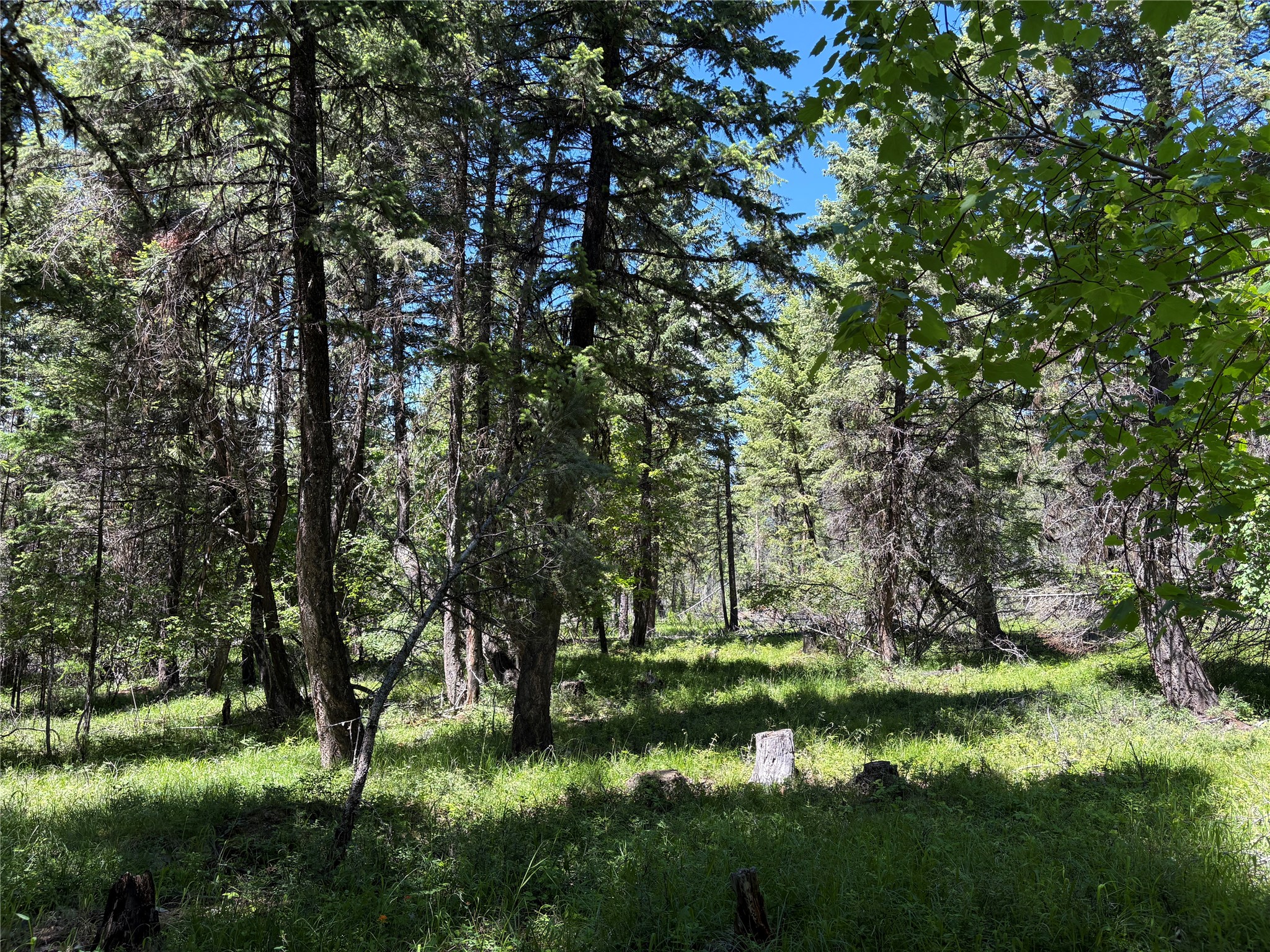 8025 Therriault Pass Road Property Photo 43