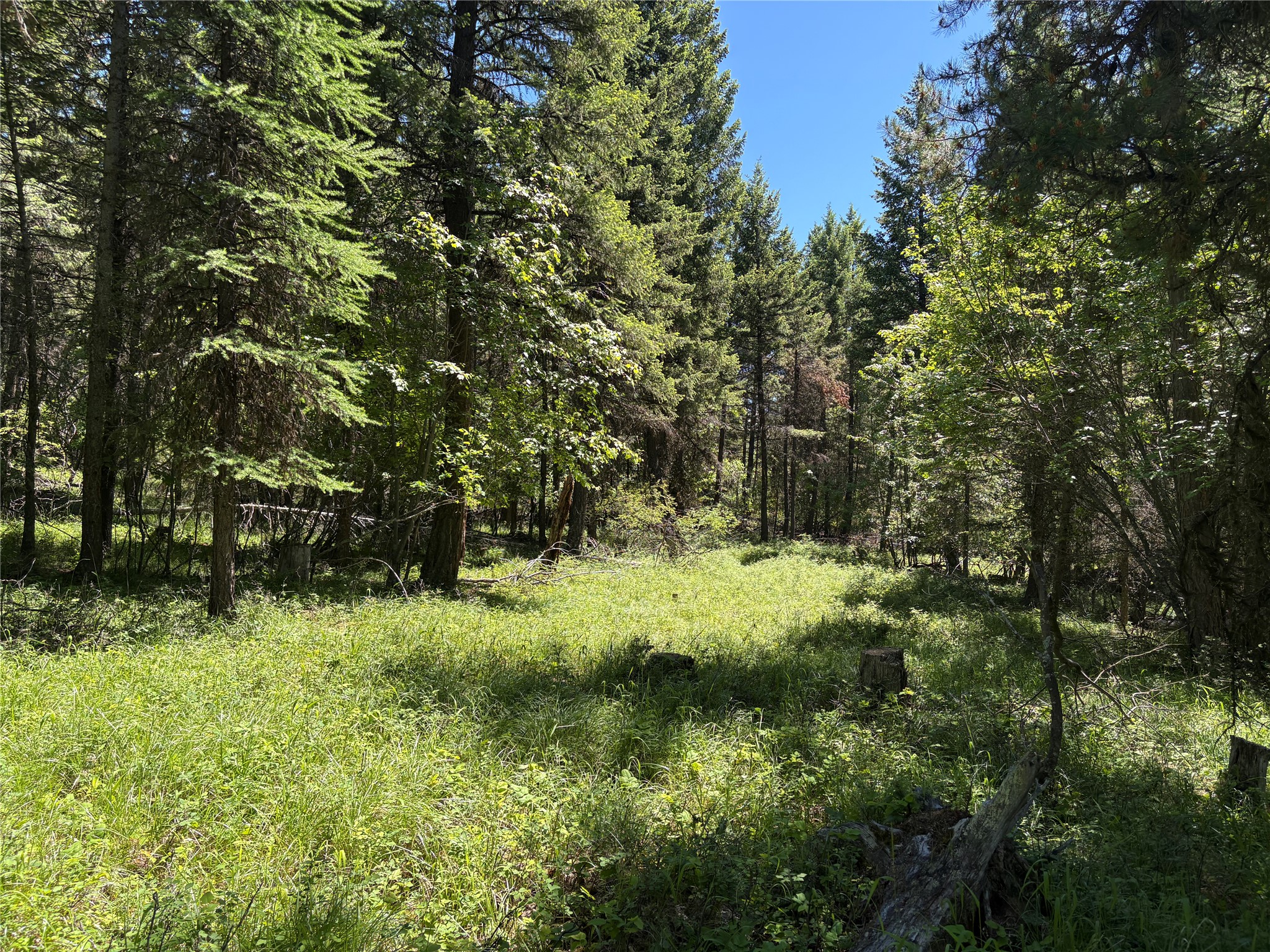 8025 Therriault Pass Road Property Photo 44