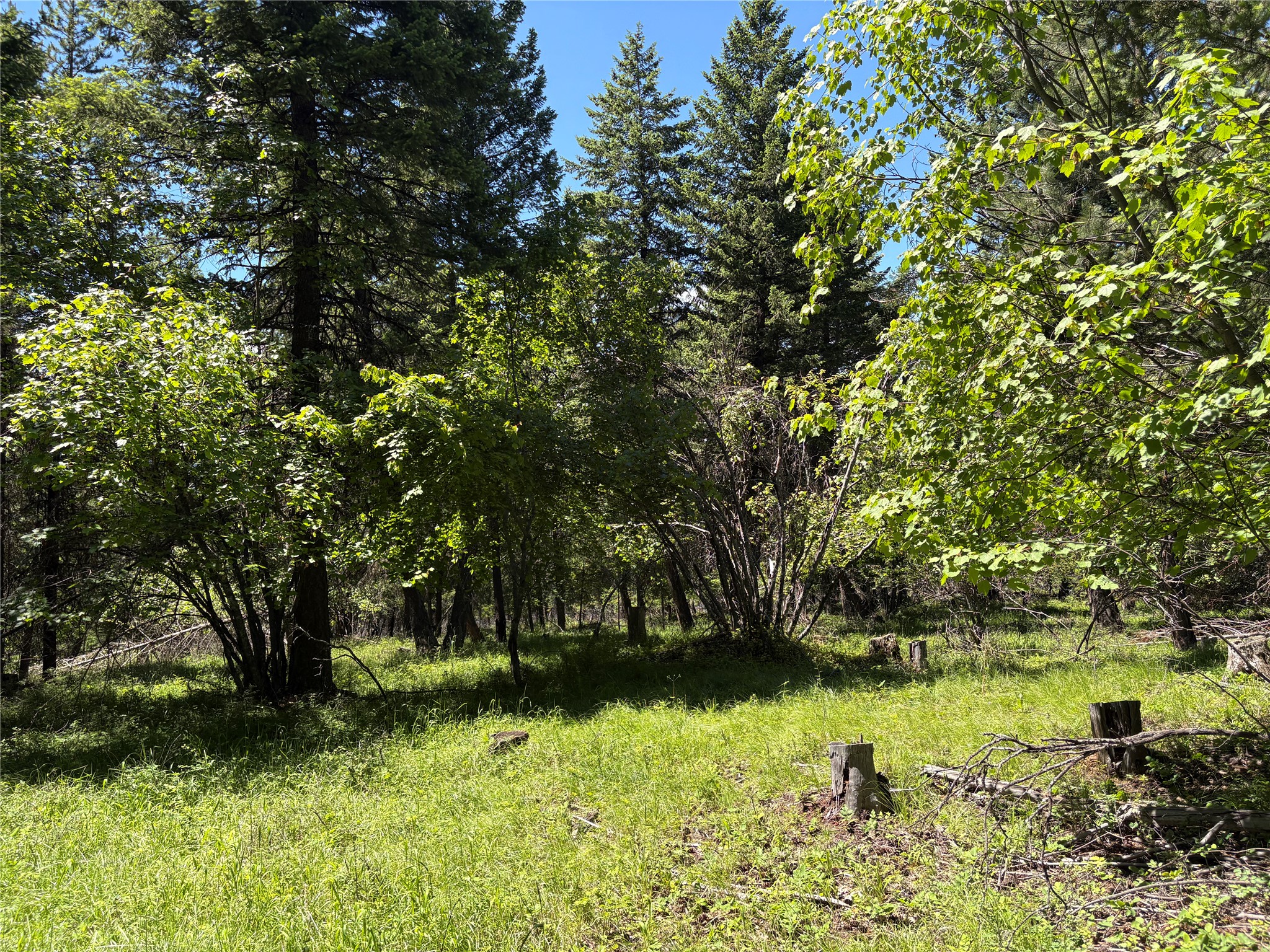 8025 Therriault Pass Road Property Photo 45