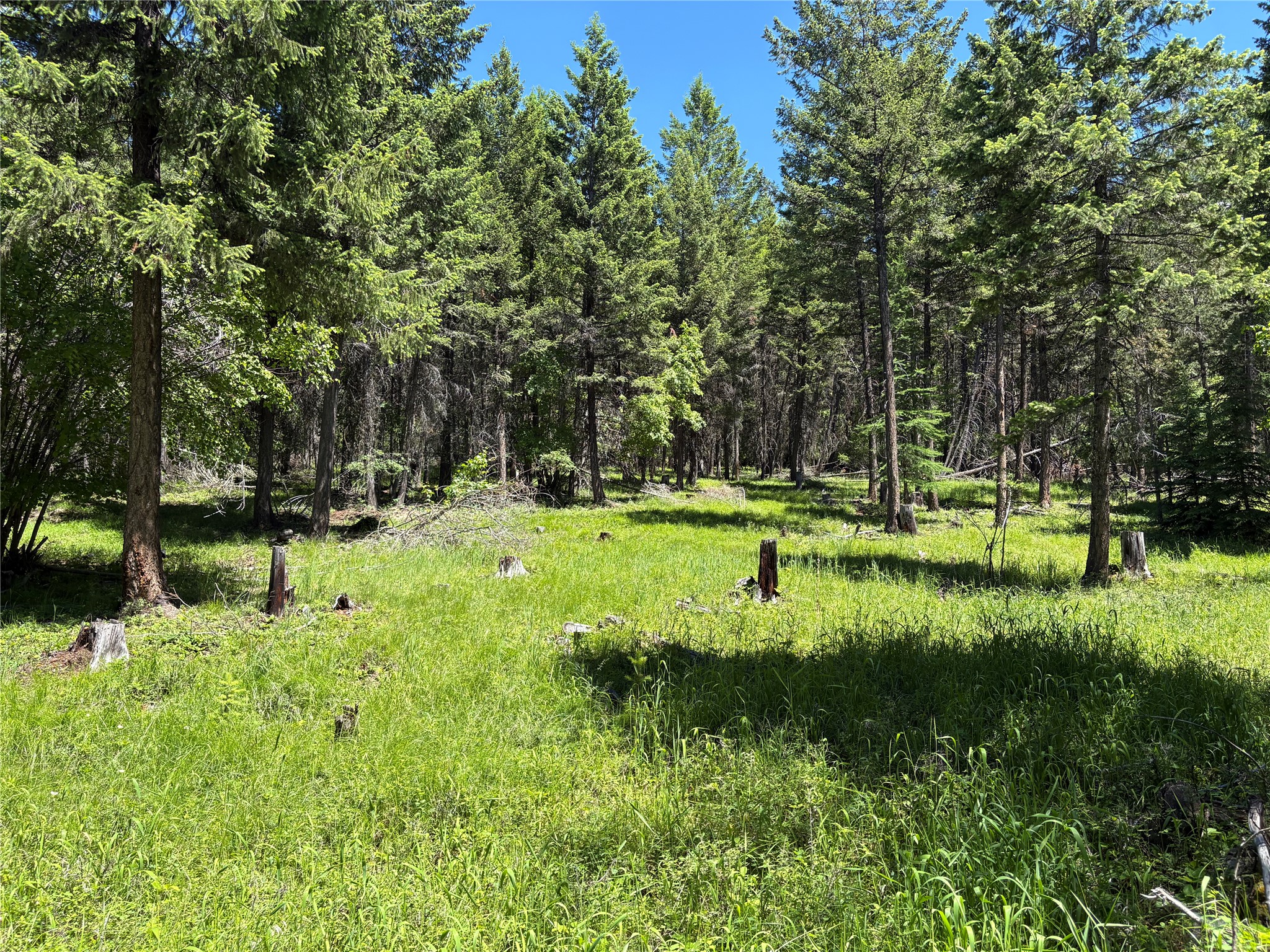 8025 Therriault Pass Road Property Photo 46