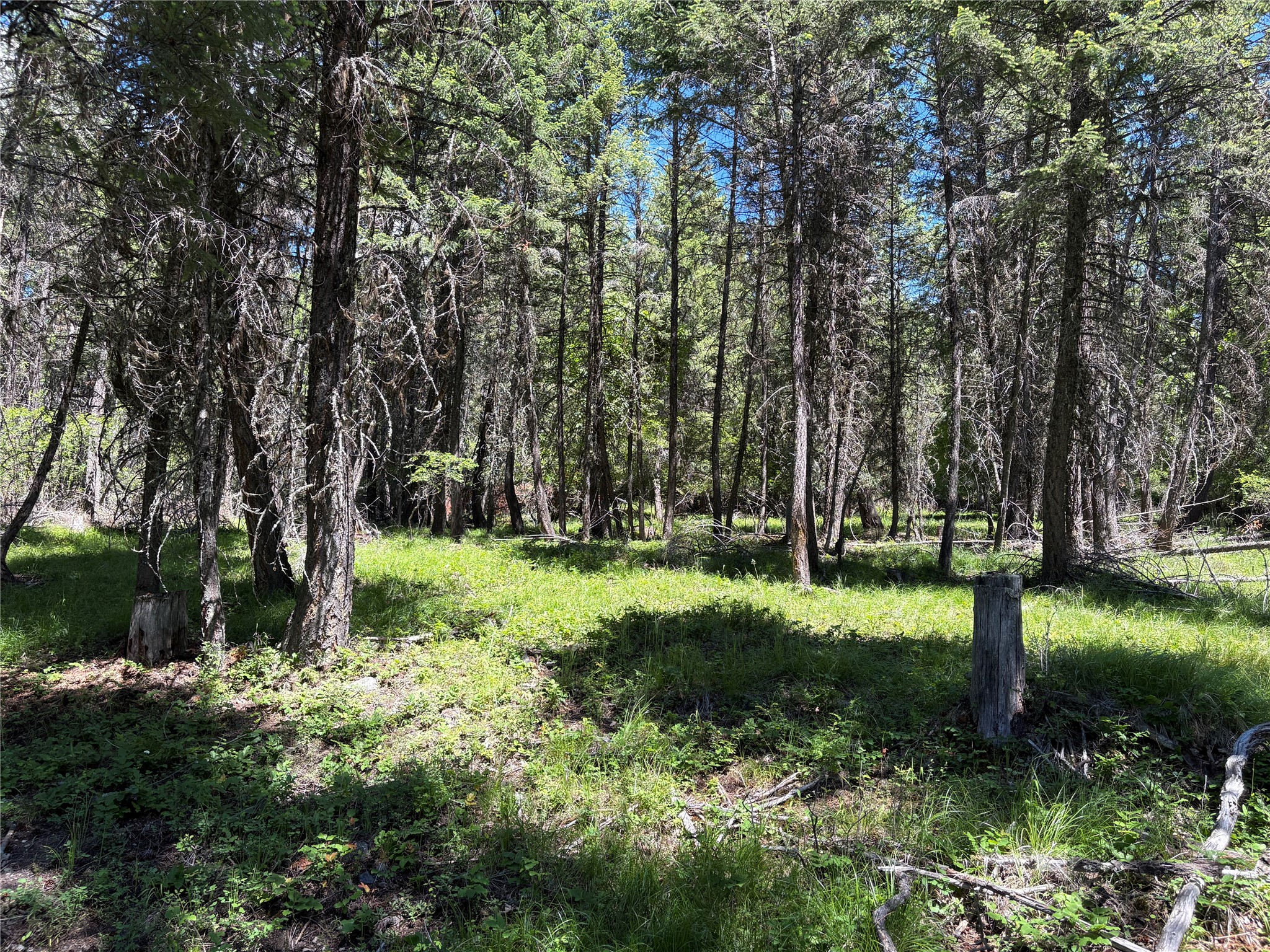 8025 Therriault Pass Road Property Photo 48