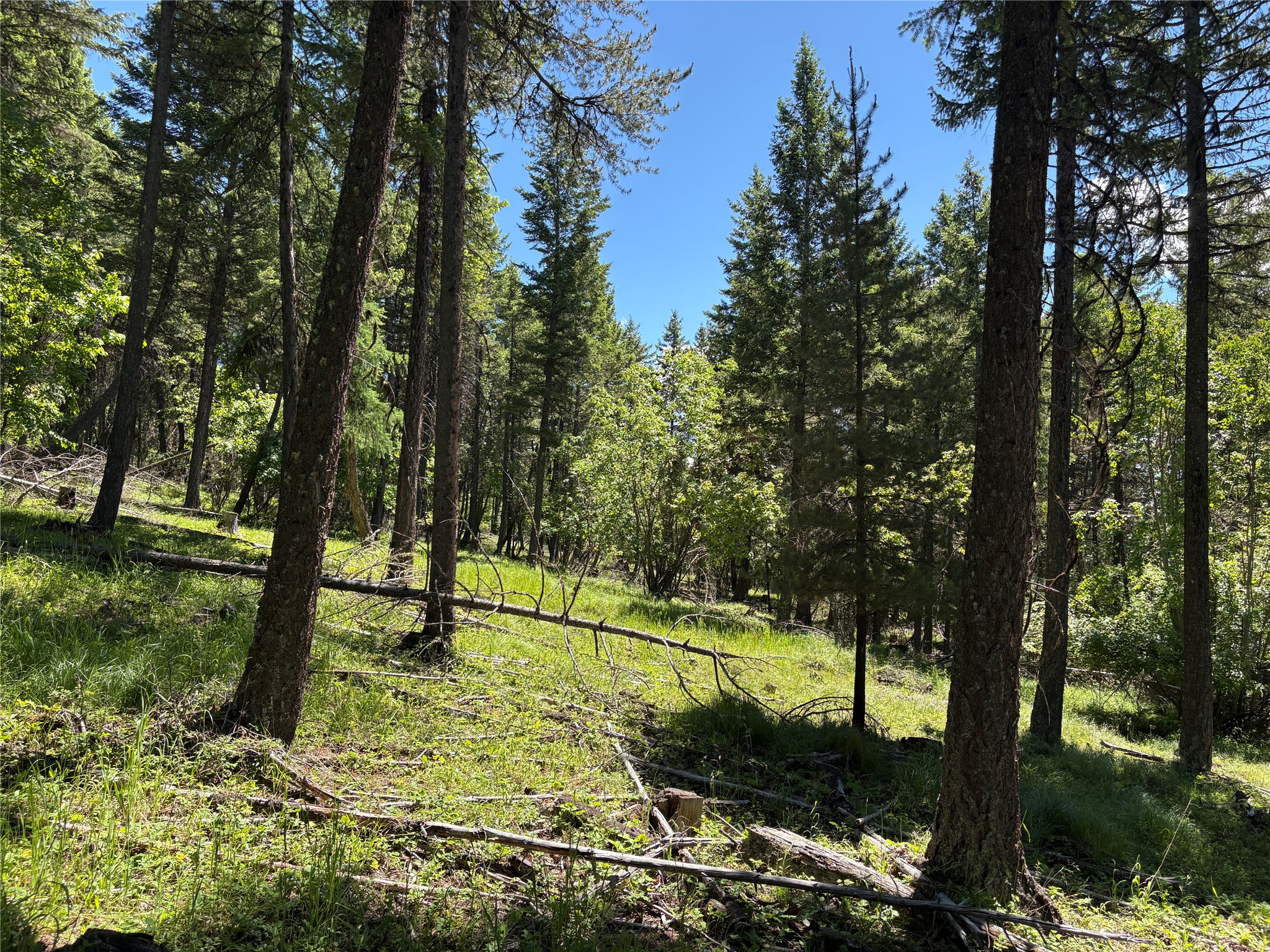 8025 Therriault Pass Road Property Photo 49