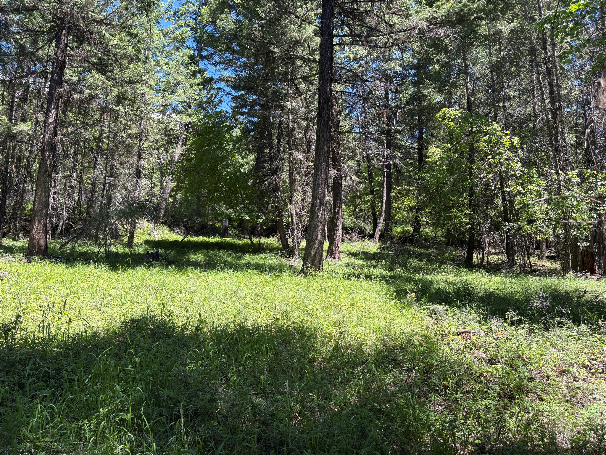 8025 Therriault Pass Road Property Photo 50