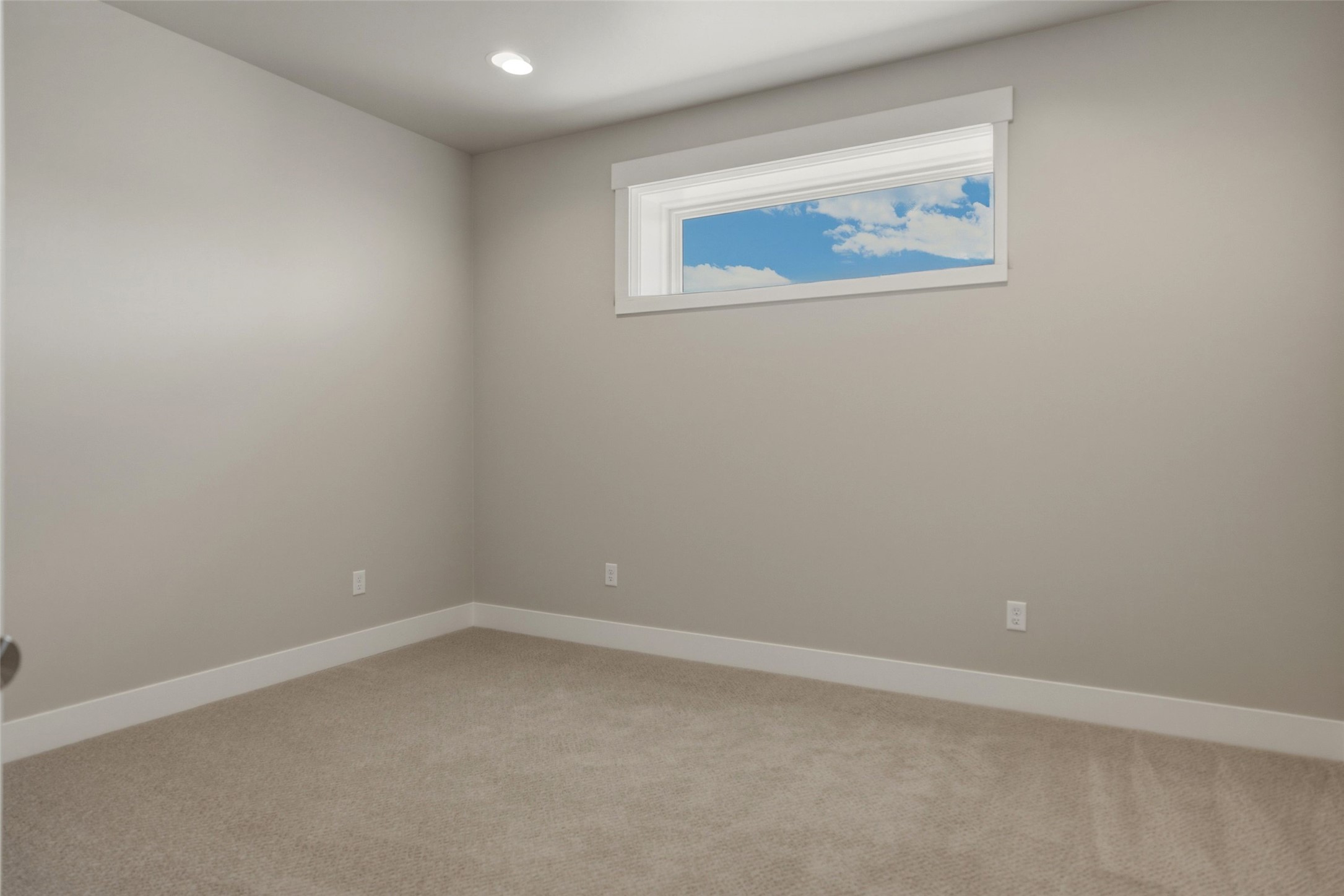 4411 Harrison Scott Drive Property Photo 38
