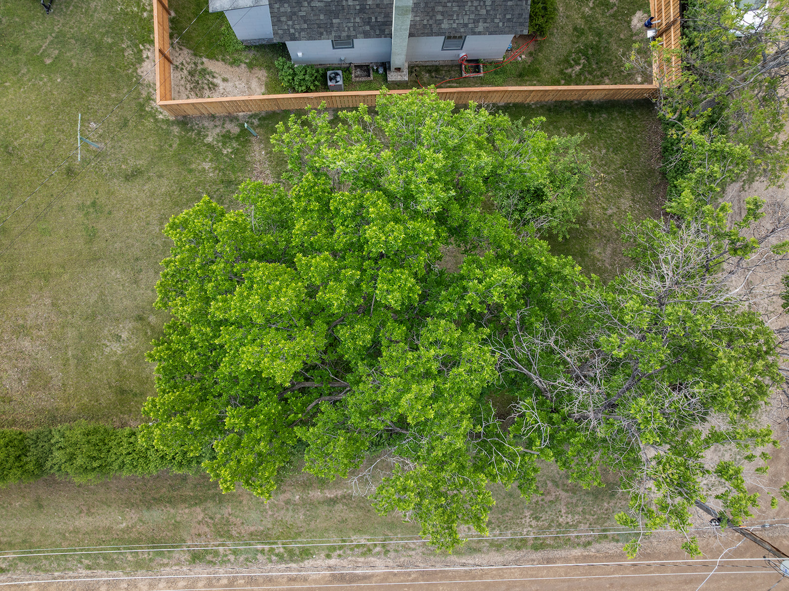 100 Reed Avenue Property Photo 12