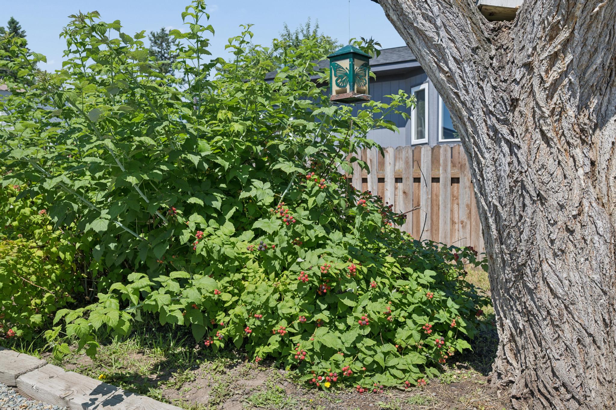 844 8th Avenue W Property Photo 49