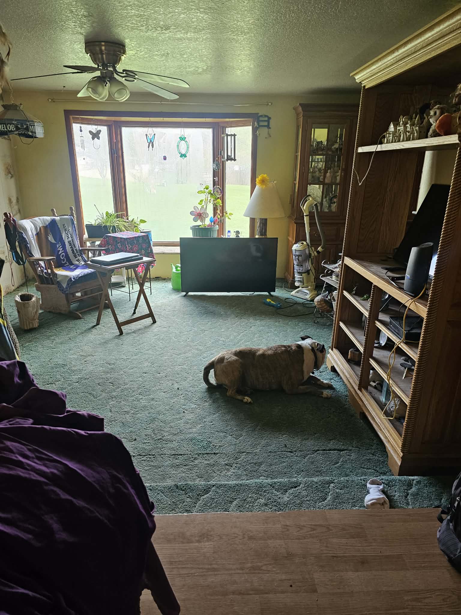 401 Terrace Drive Property Photo 2