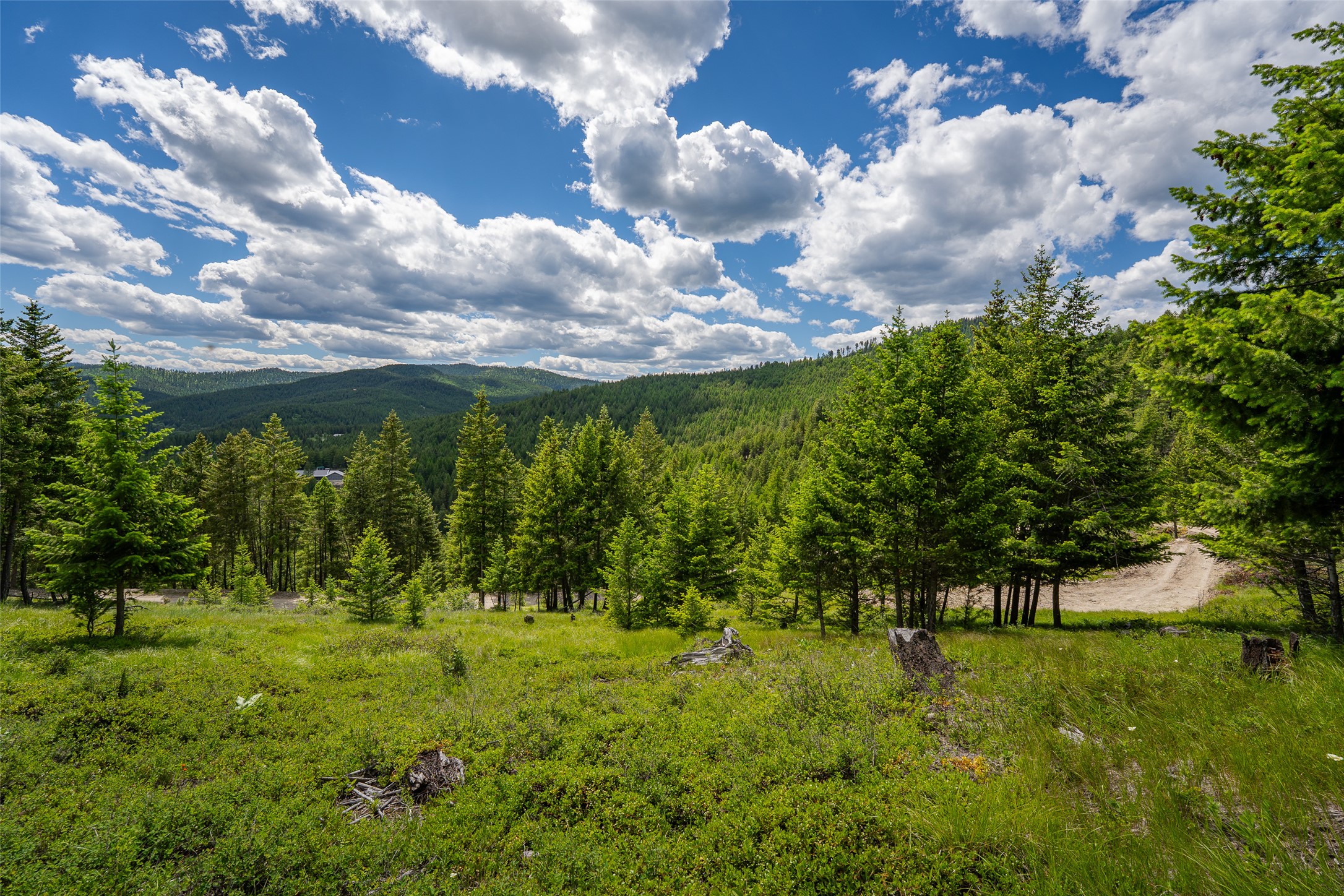 2342 Sirius View Property Photo 4