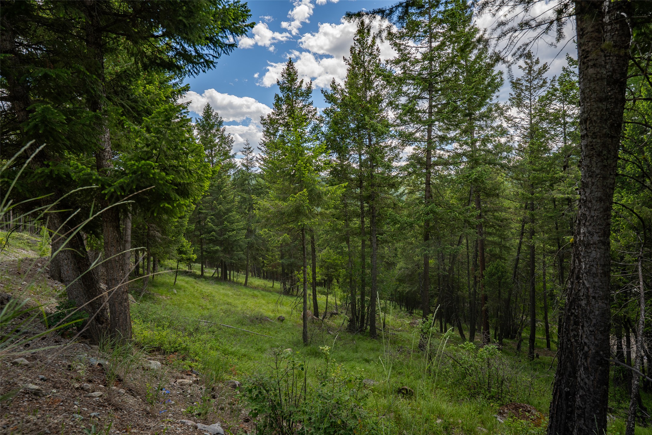 2342 Sirius View Property Photo 43