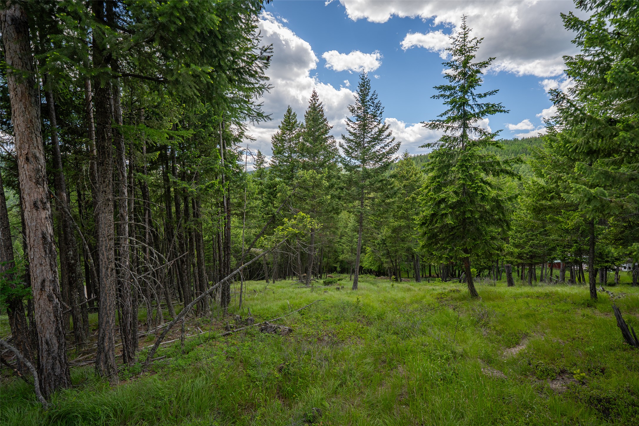 2342 Sirius View Property Photo 44