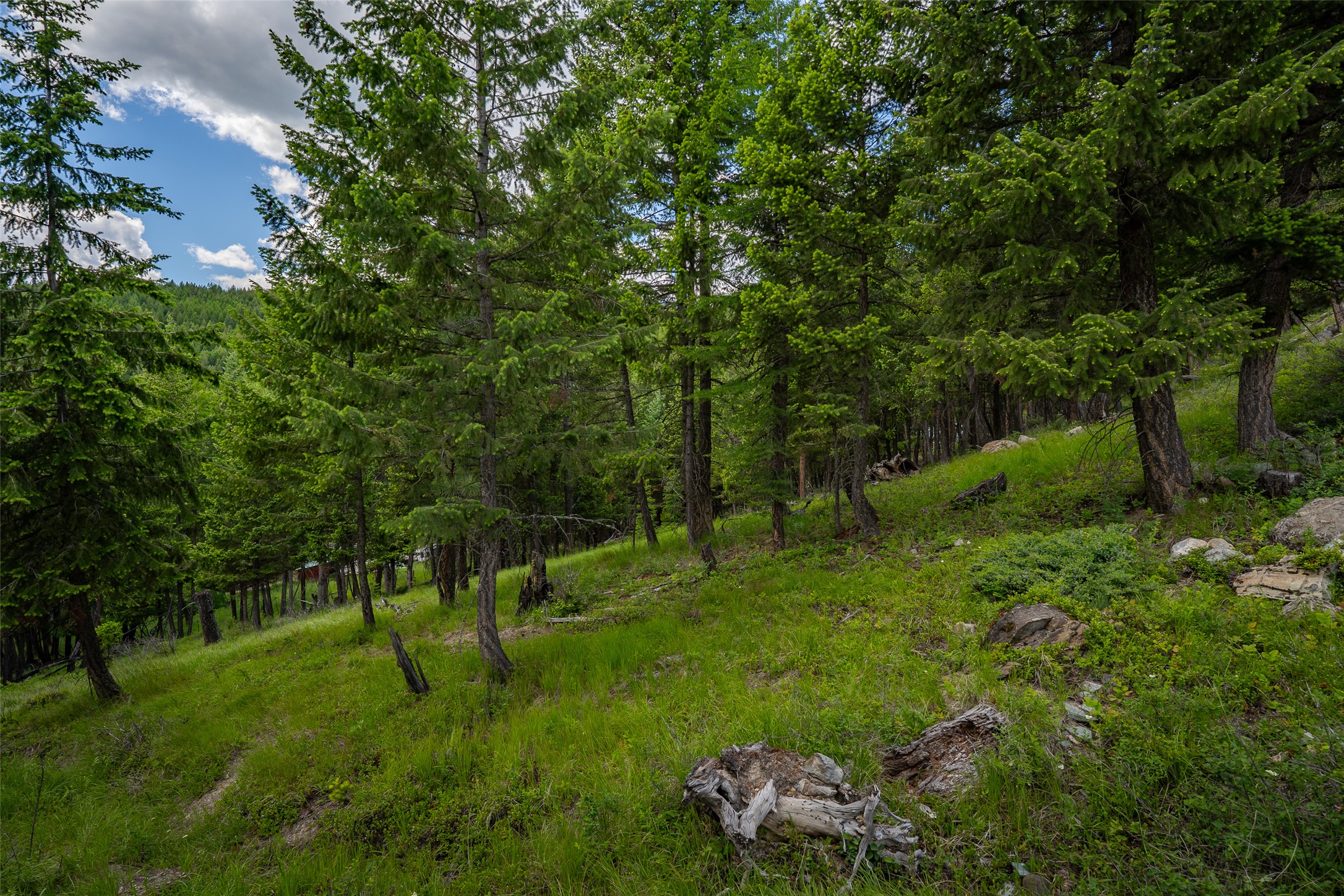 2342 Sirius View Property Photo 45