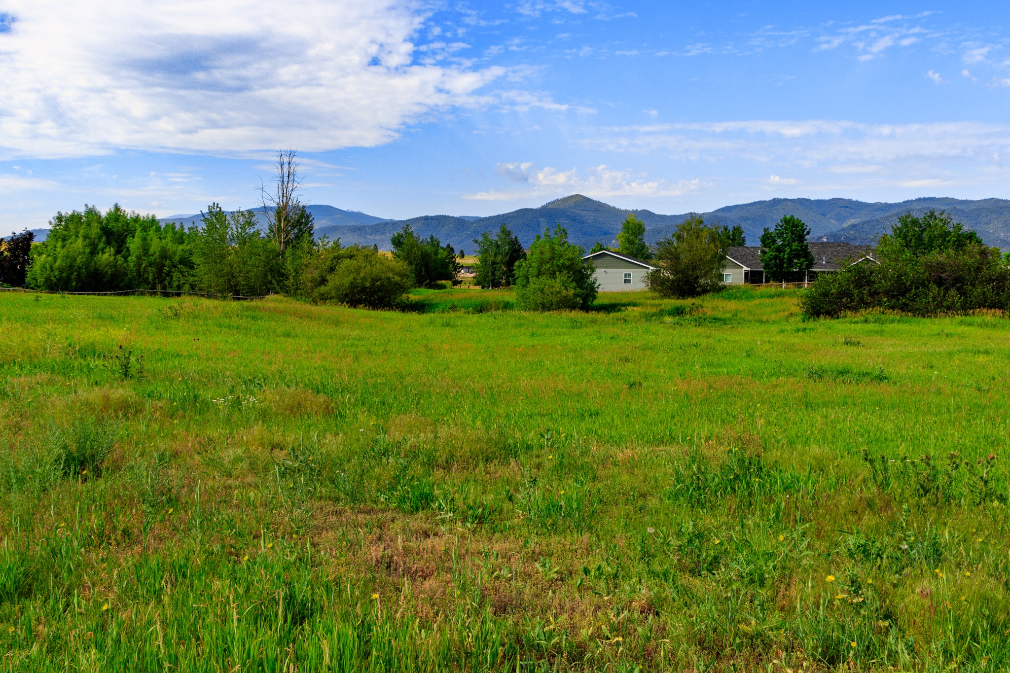 10100 The Lane Property Photo 33