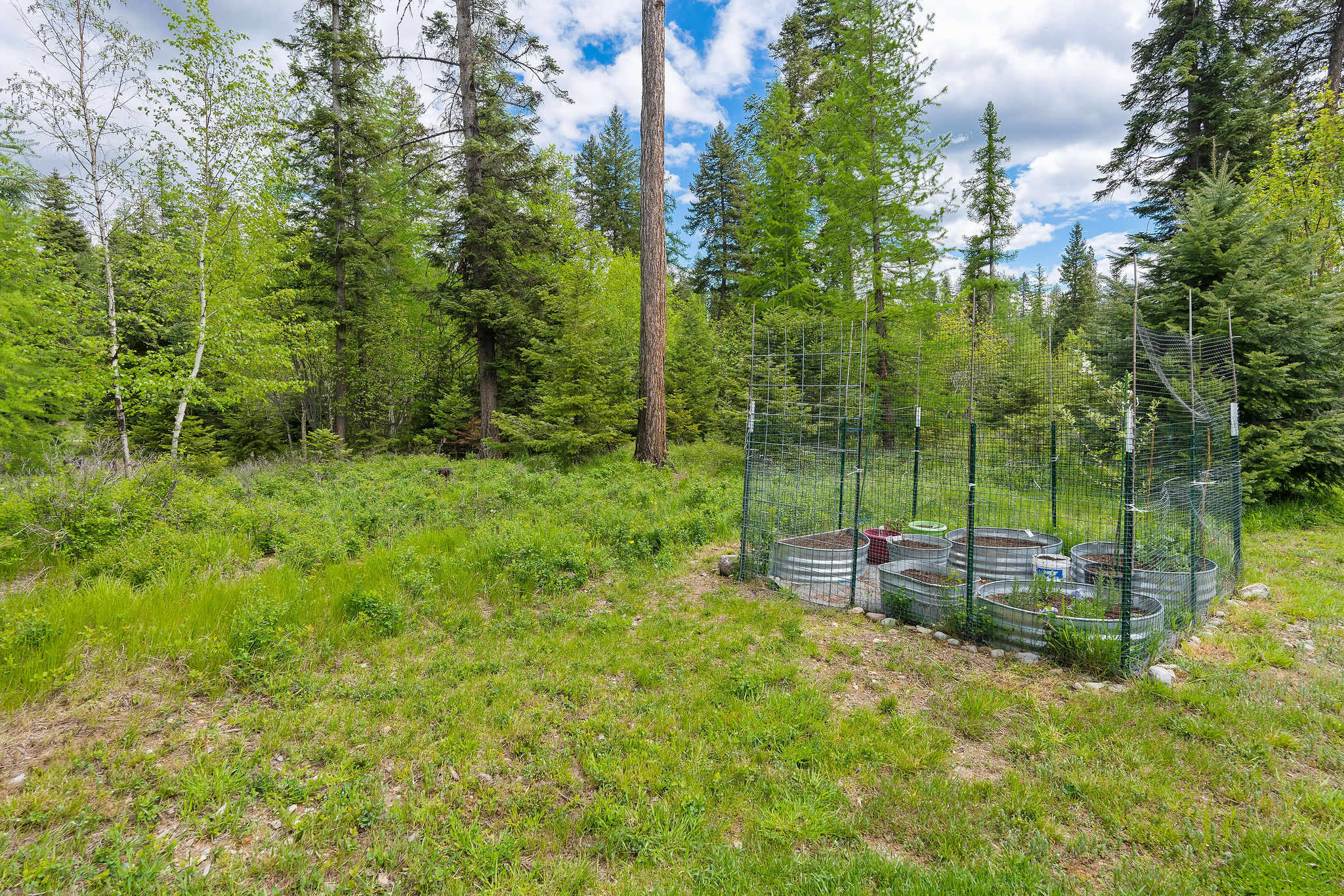 13404 Crescent Moon Drive Property Photo 45