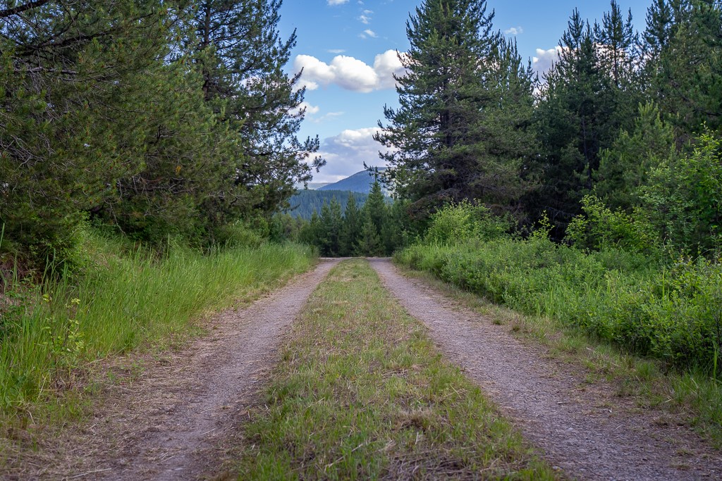 2658 Mt Highway 200 Property Photo 59