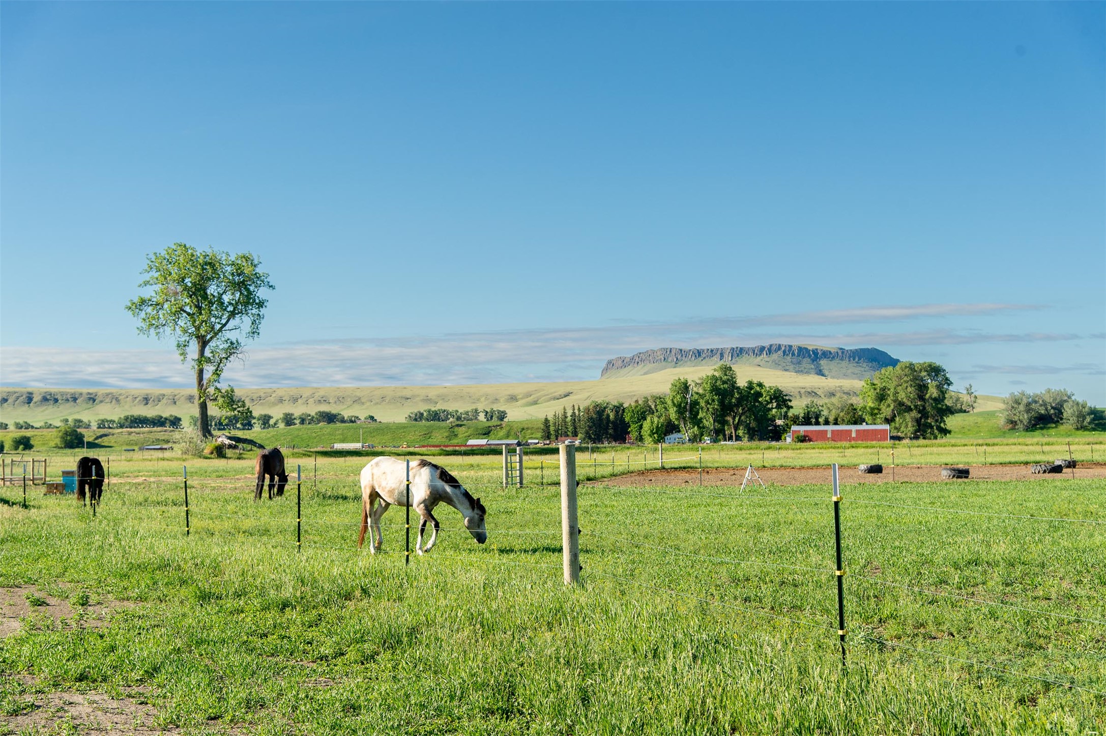 12710 Mt Highway 200 Property Photo 6