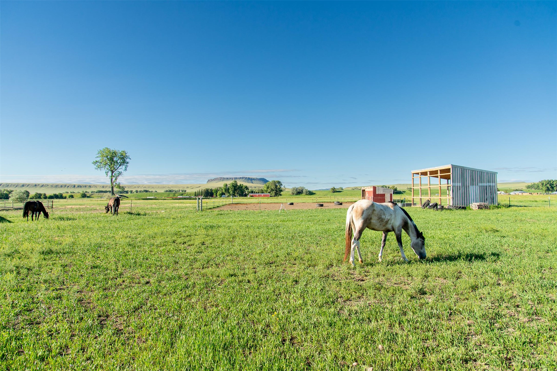 12710 Mt Highway 200 Property Photo 31