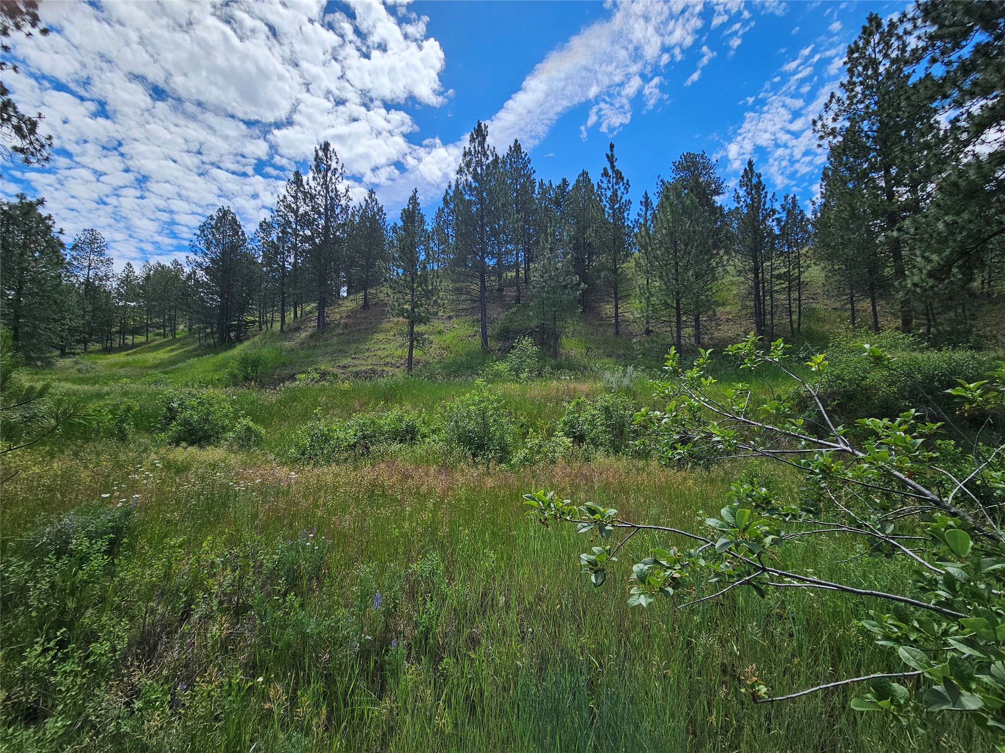 569 Creek Hollow Way Property Photo 1