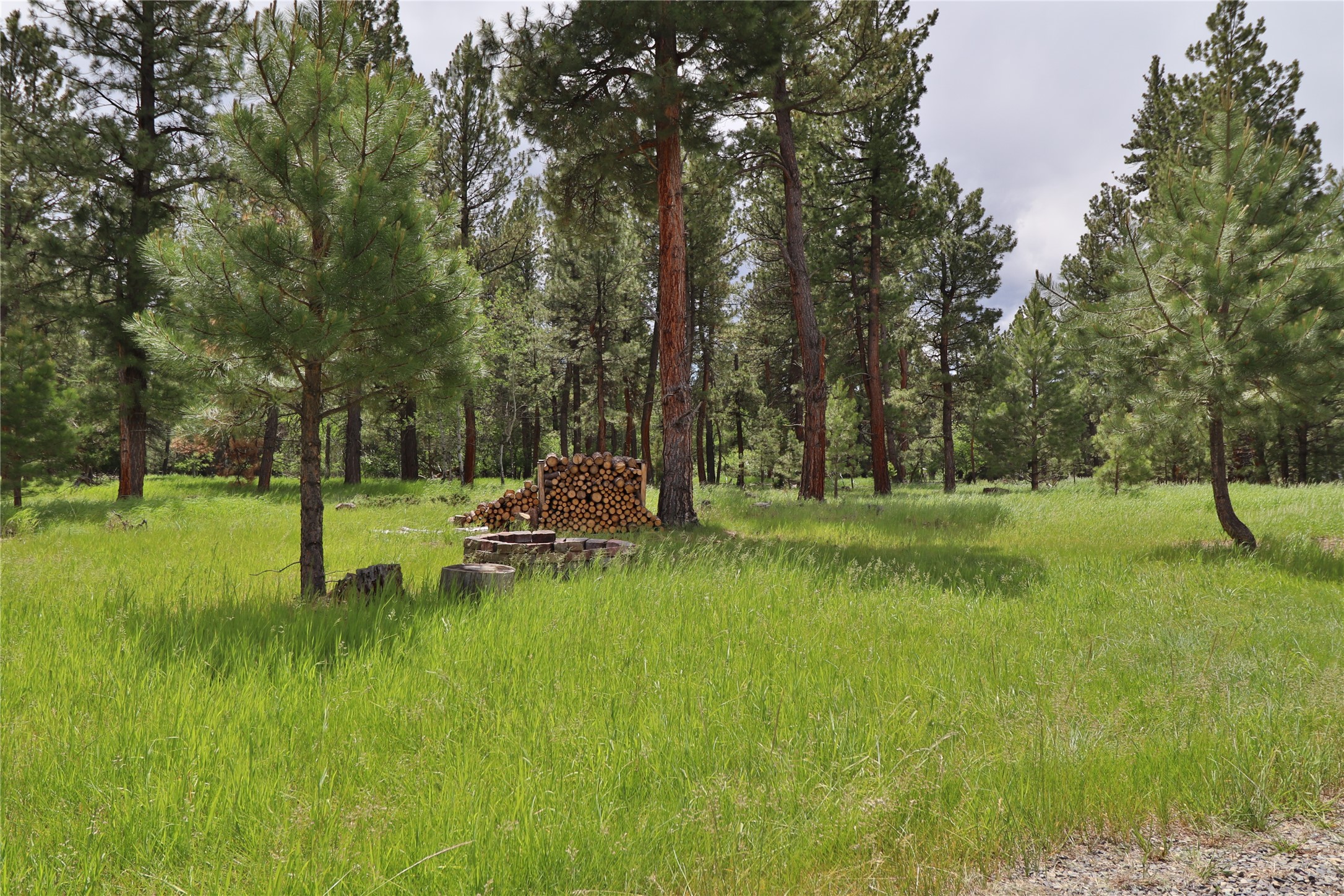 4587 Patterson Loop Property Photo 7