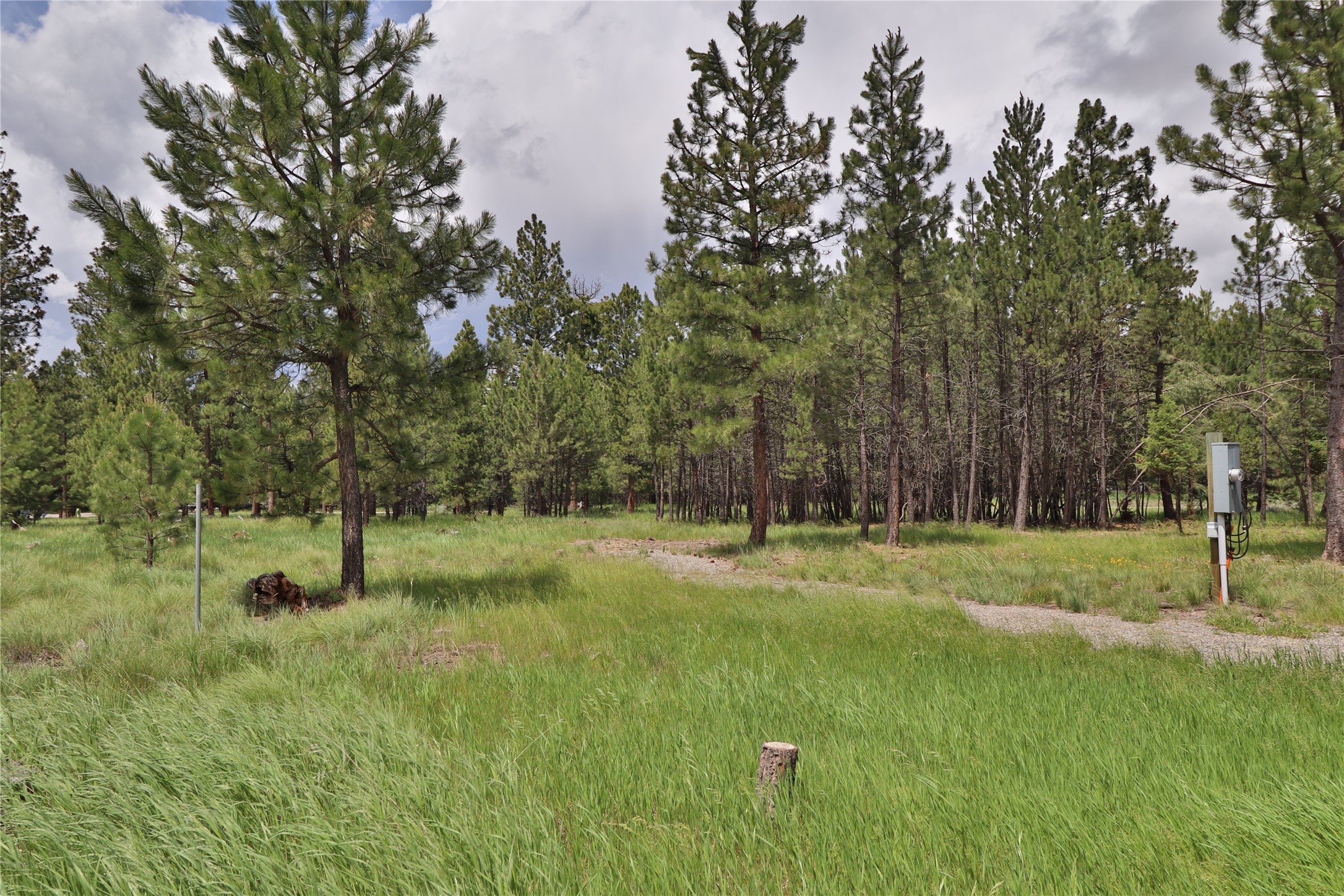 4587 Patterson Loop Property Photo 8