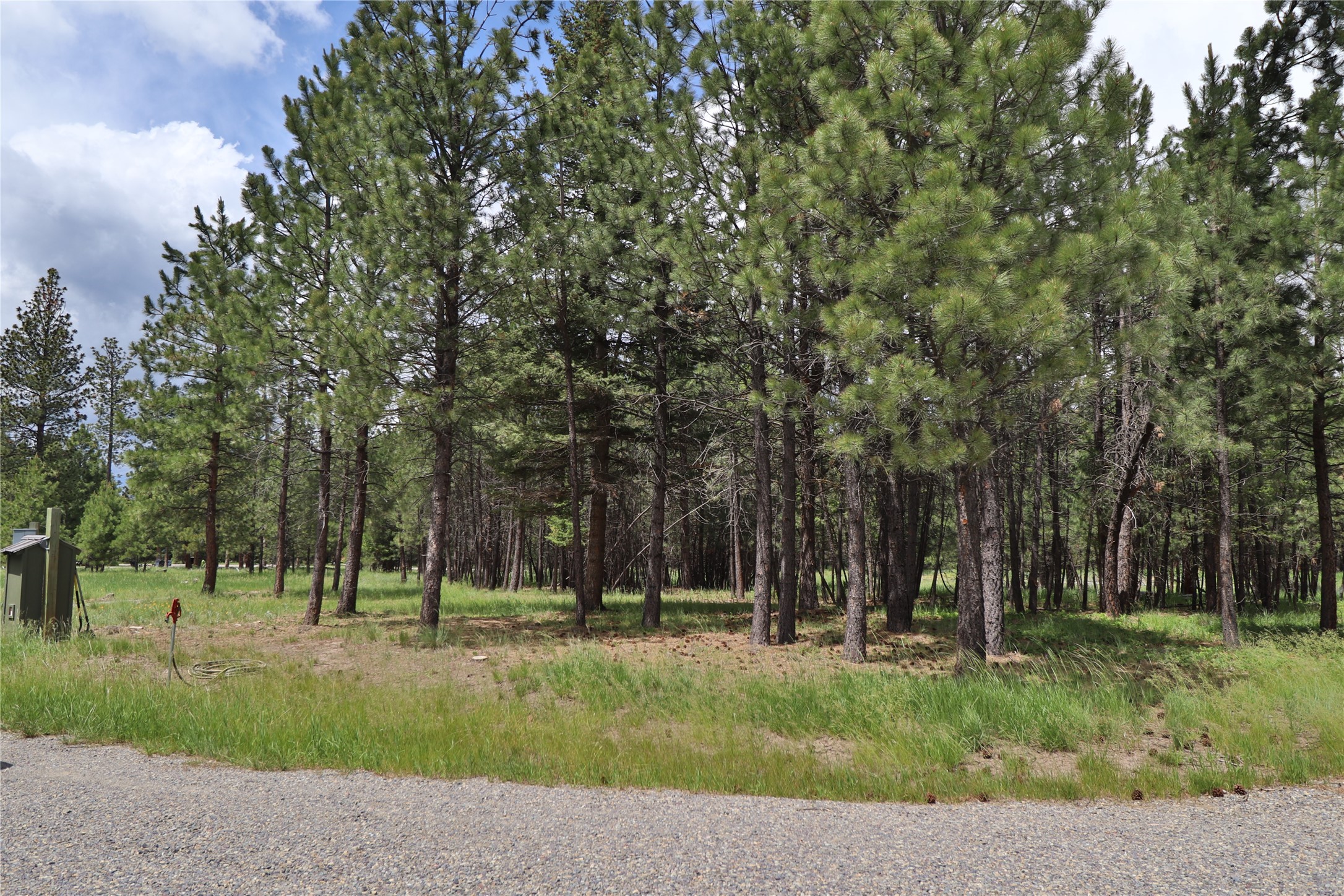4587 Patterson Loop Property Photo 9