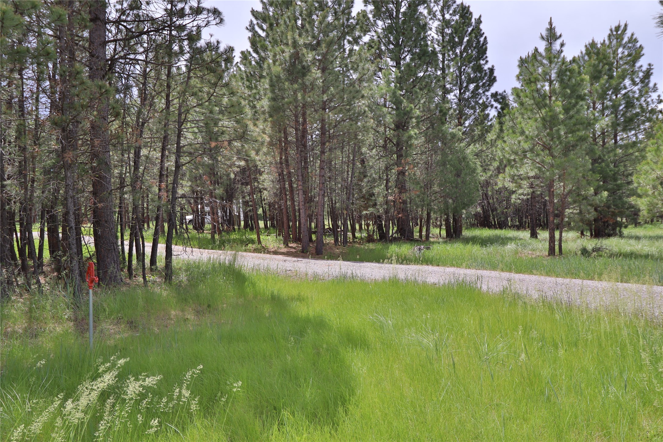 4587 Patterson Loop Property Photo 14