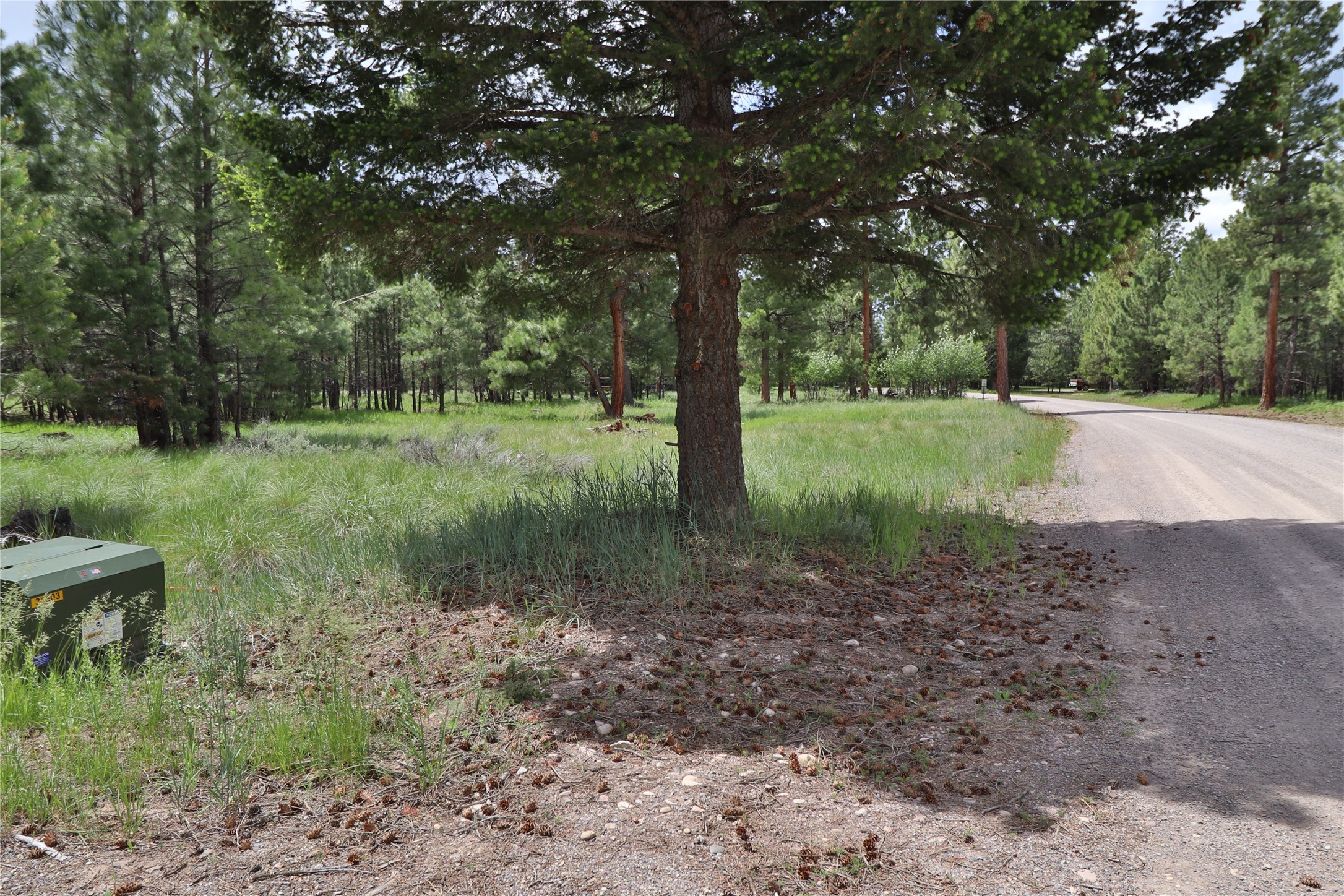 4587 Patterson Loop Property Photo 15