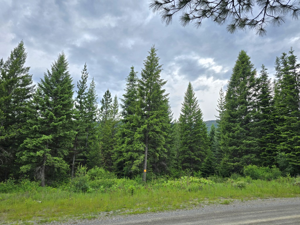 4577 Quartz Creek Road Property Photo 2
