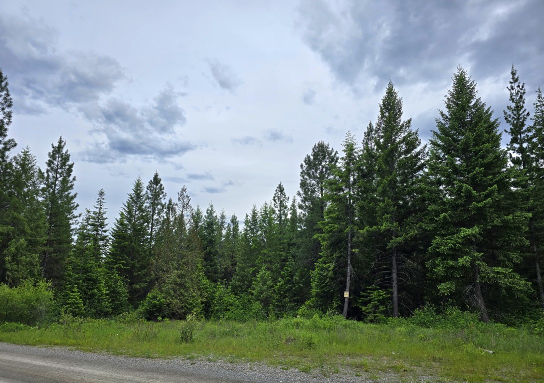 4577 Quartz Creek Road Property Photo 3