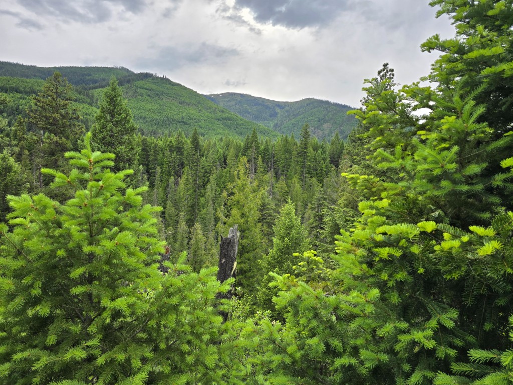 4577 Quartz Creek Road Property Photo 4