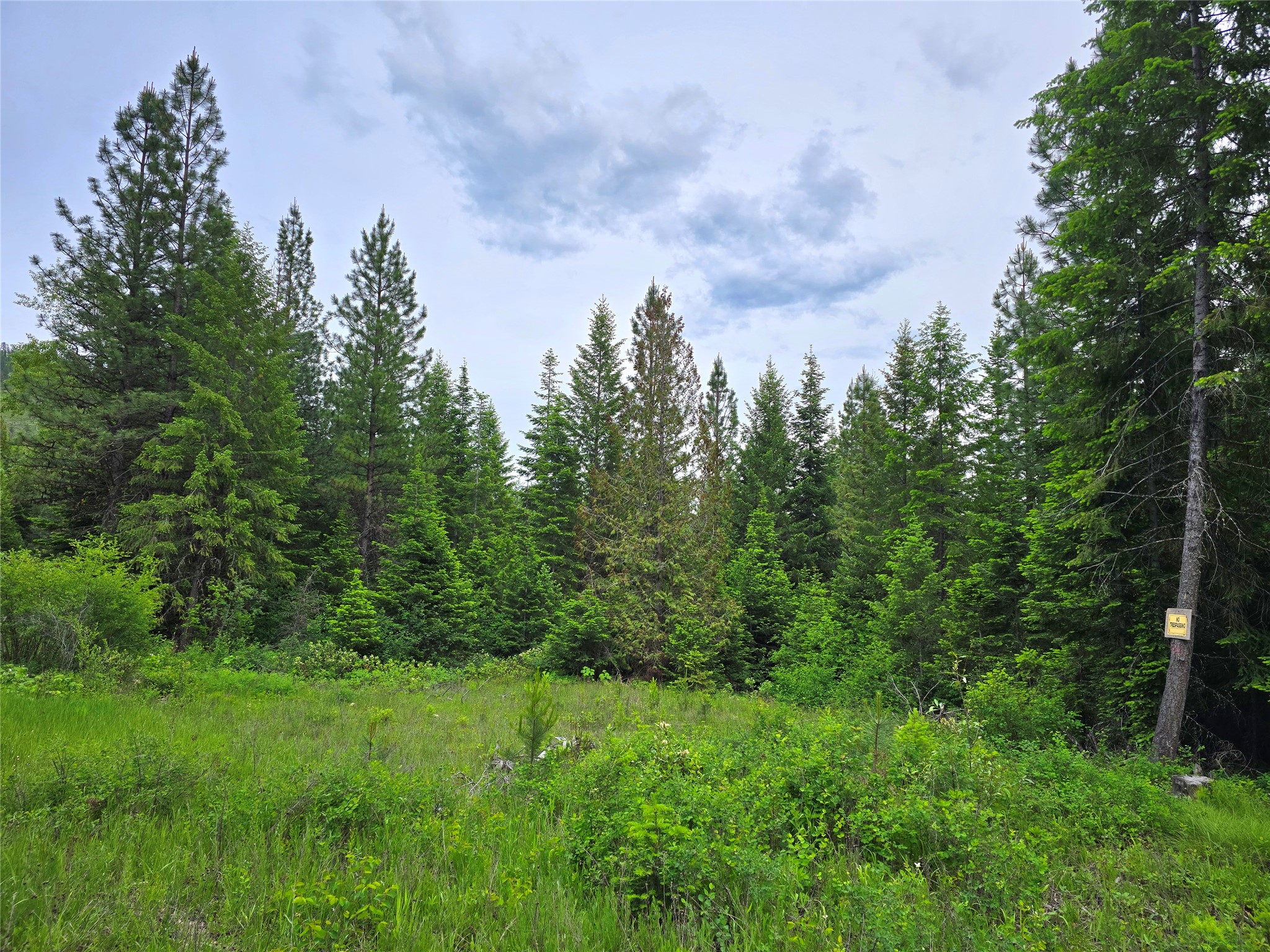 4577 Quartz Creek Road Property Photo 7