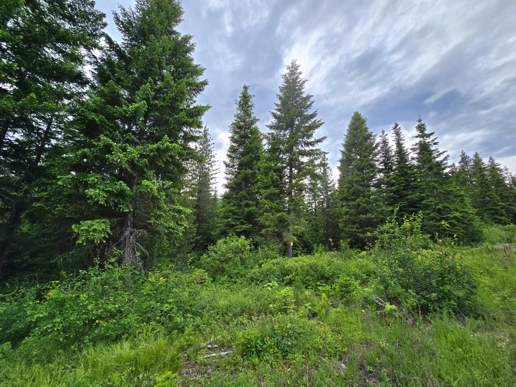 4577 Quartz Creek Road Property Photo 8