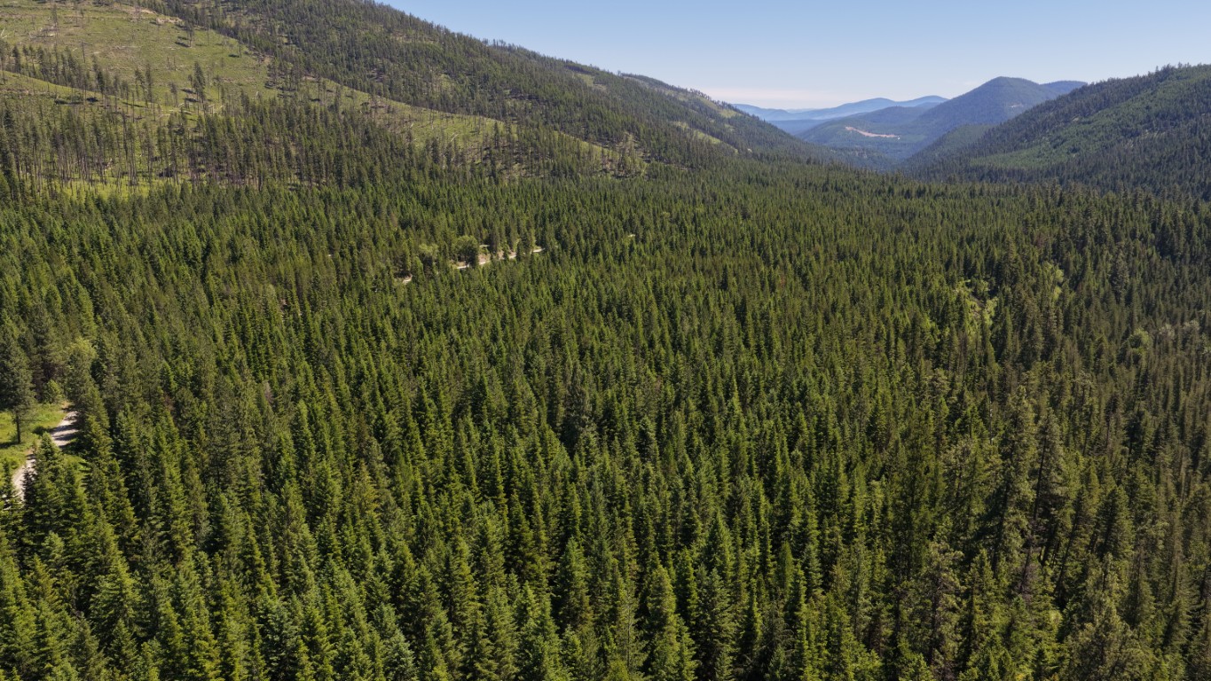 4577 Quartz Creek Road Property Photo 10