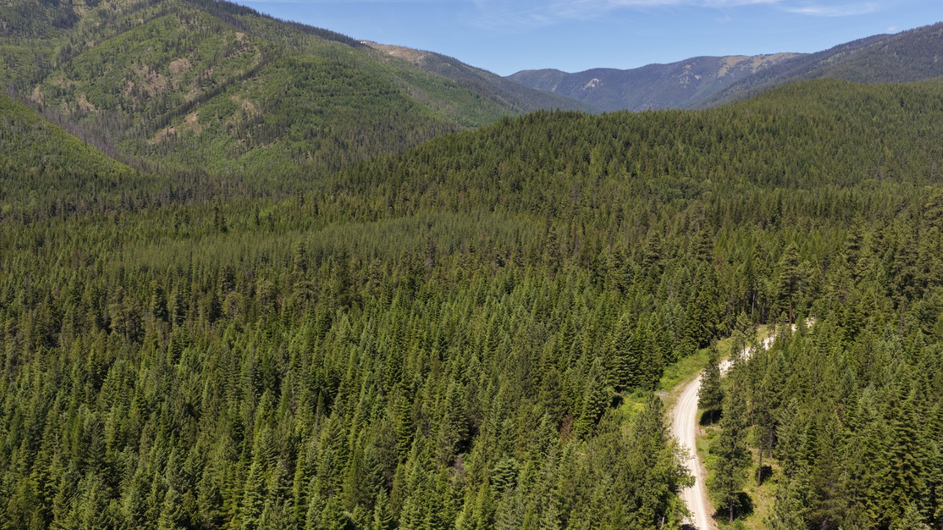 4577 Quartz Creek Road Property Photo 11