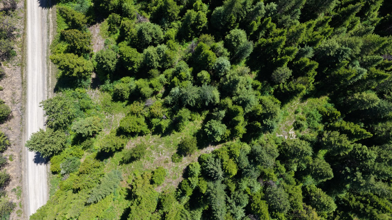 4577 Quartz Creek Road Property Photo 15