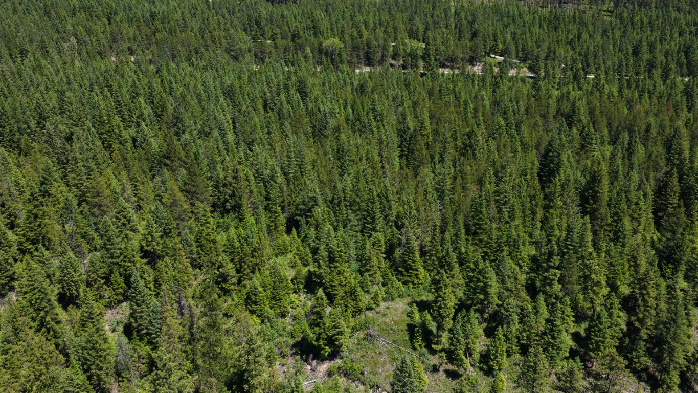 4577 Quartz Creek Road Property Photo 19
