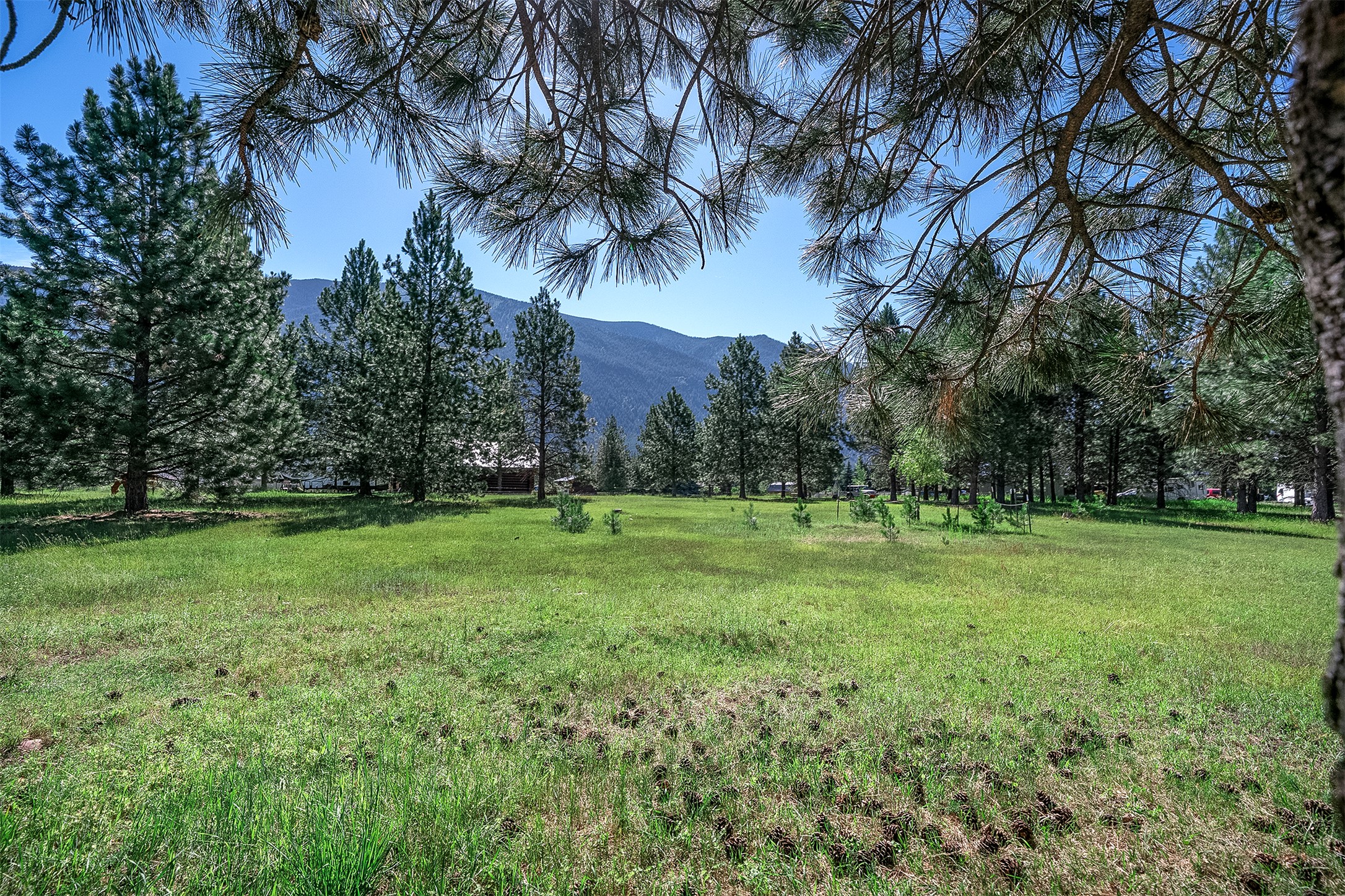 Nhn Tumbleweed Trail Property Photo 21