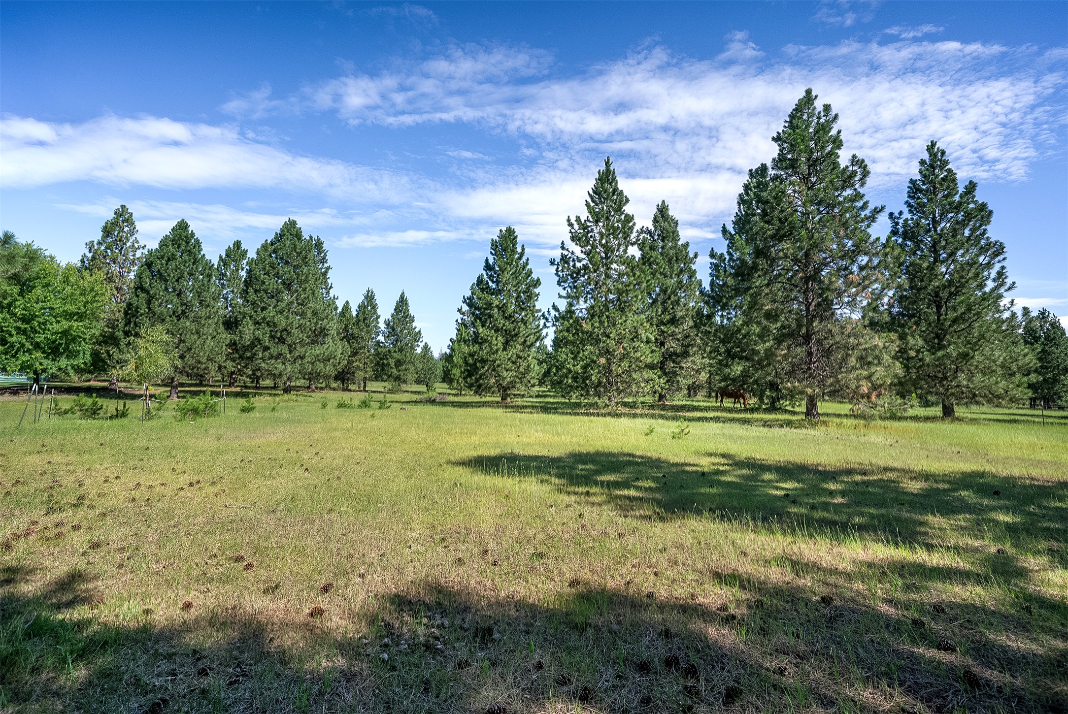 Nhn Tumbleweed Trail Property Photo 23