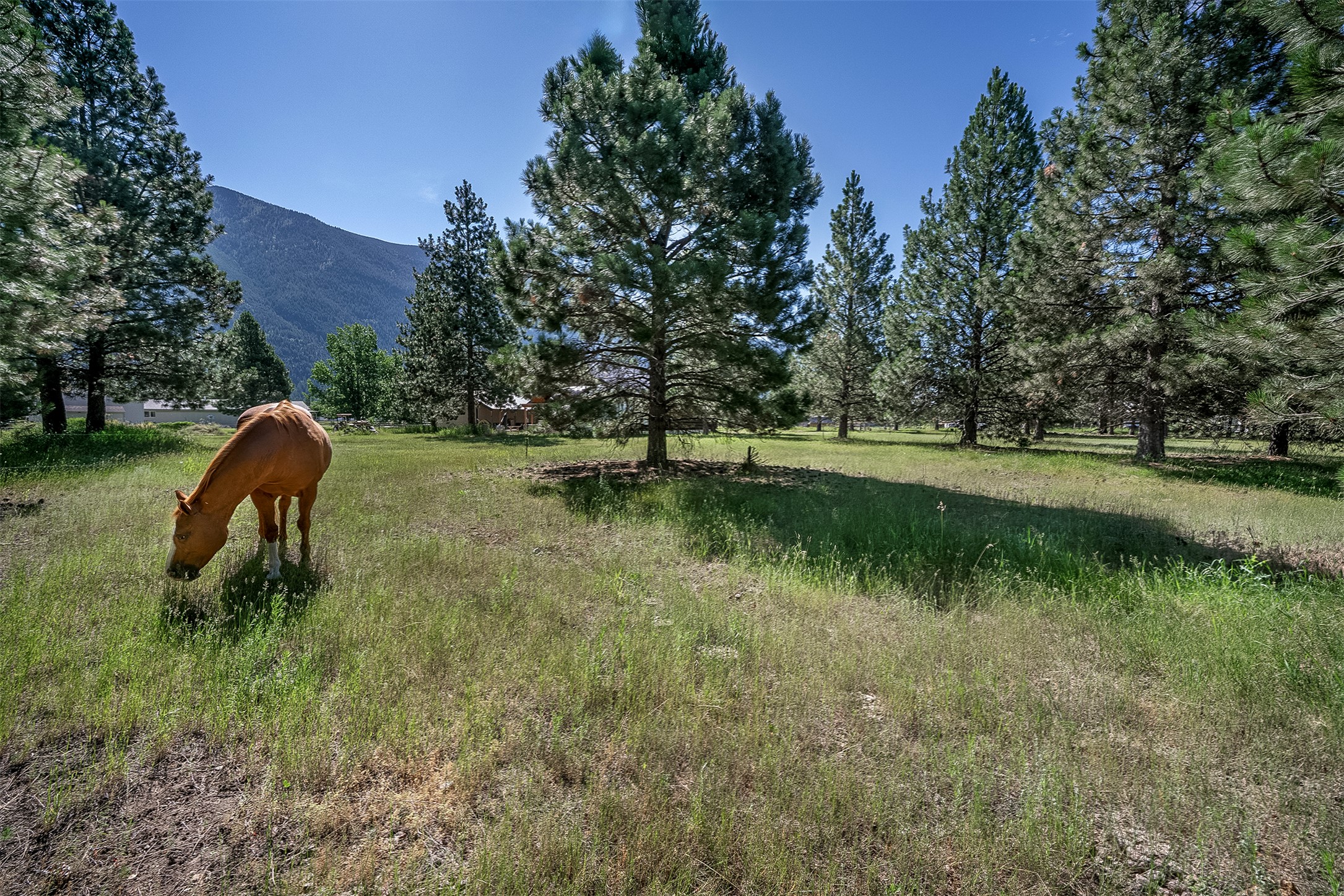 Nhn Tumbleweed Trail Property Photo 25
