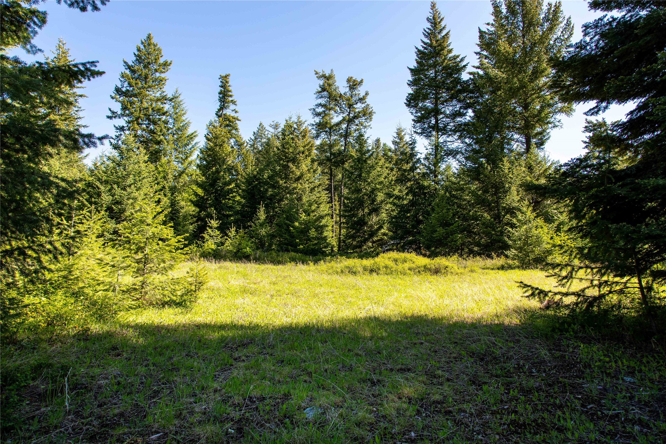 25 Starview Drive Property Photo 14