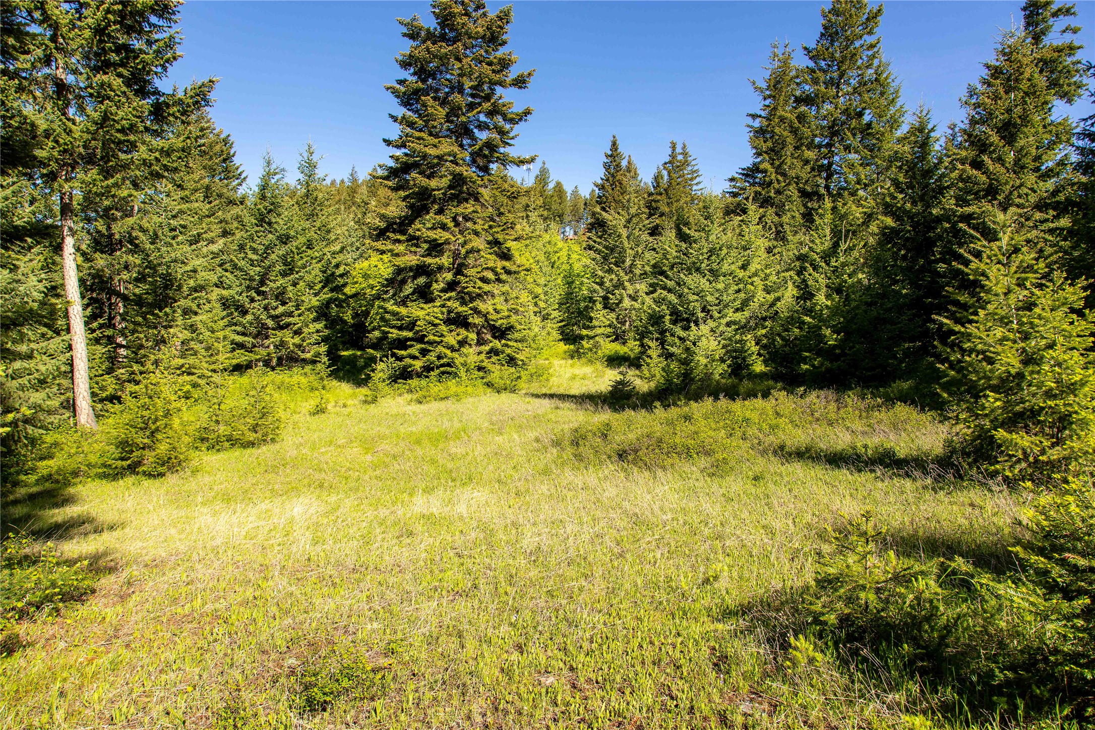 25 Starview Drive Property Photo 15