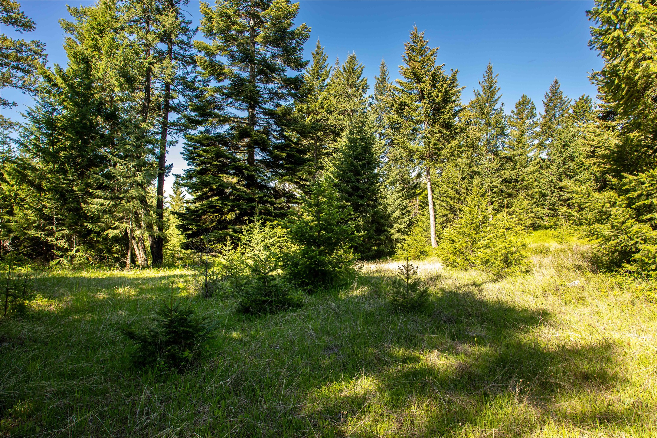 25 Starview Drive Property Photo 17