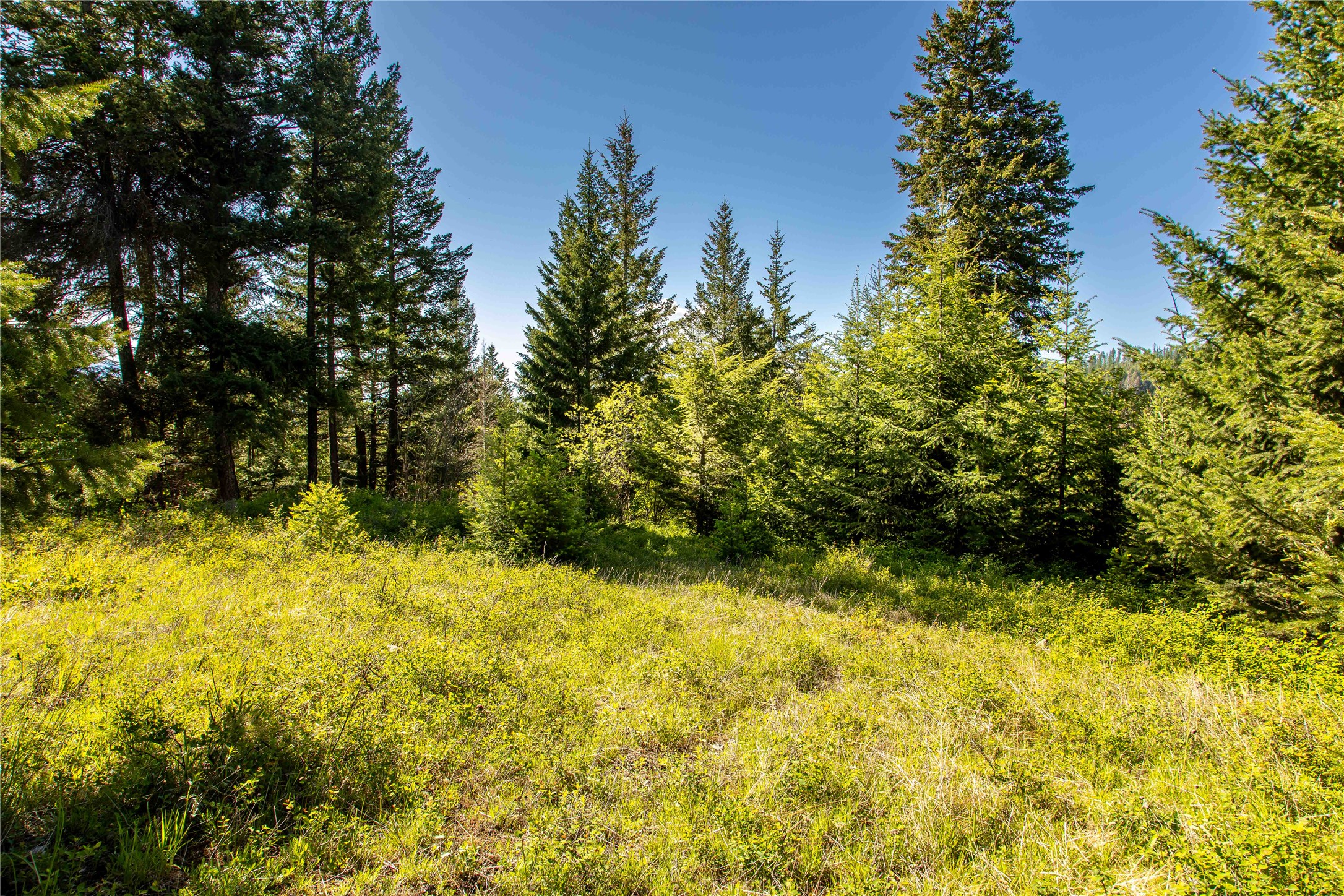 25 Starview Drive Property Photo 18
