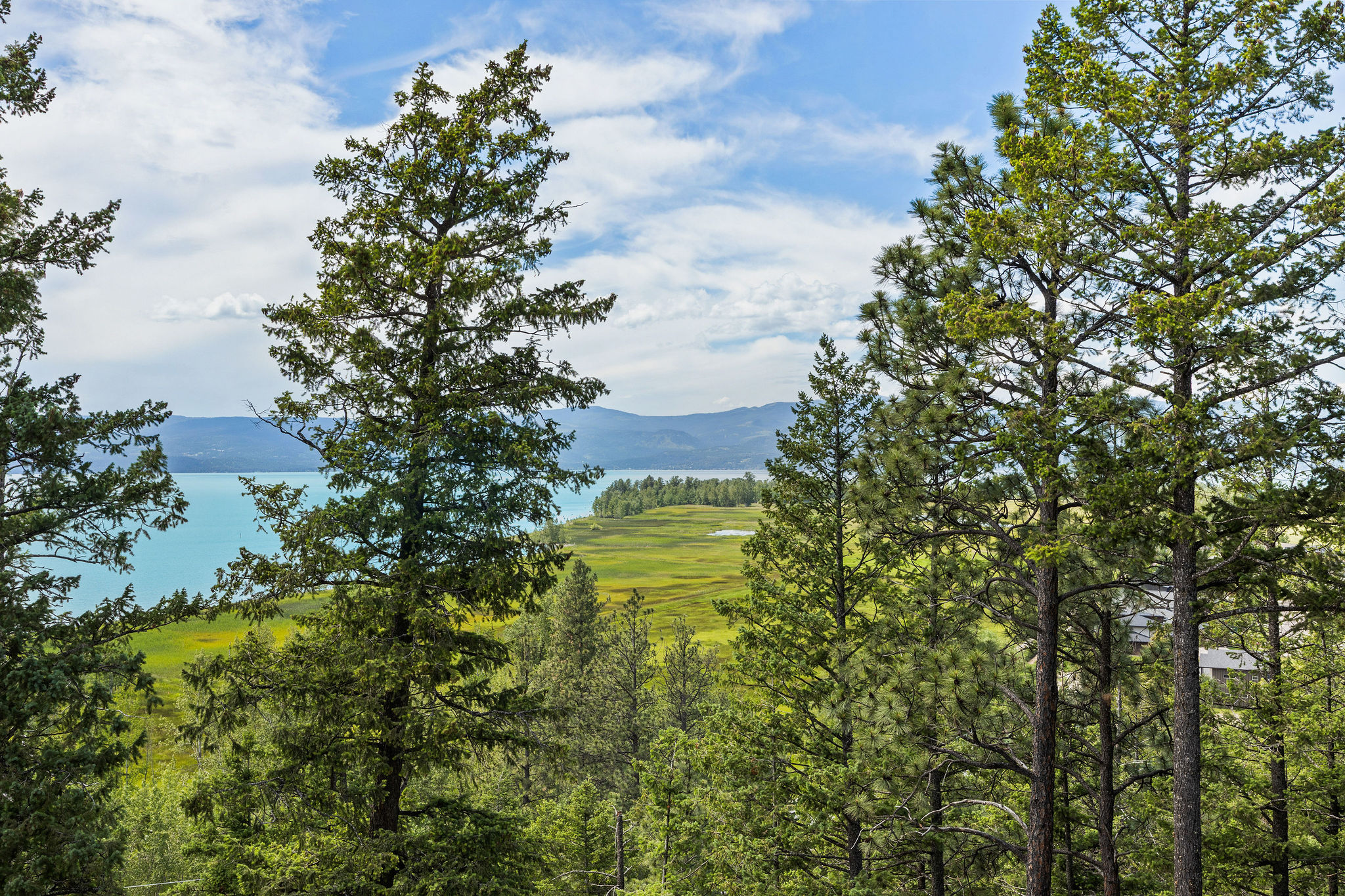 Nhn Eagle Bend Drive Property Photo 30