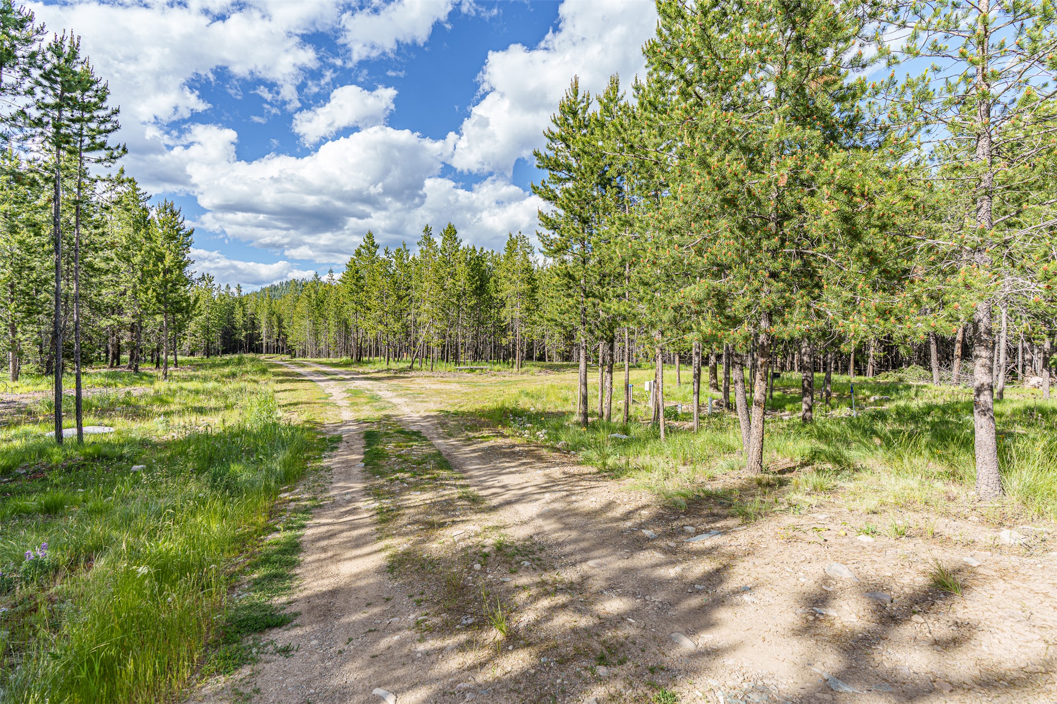 675 Griz Lane Property Photo 40