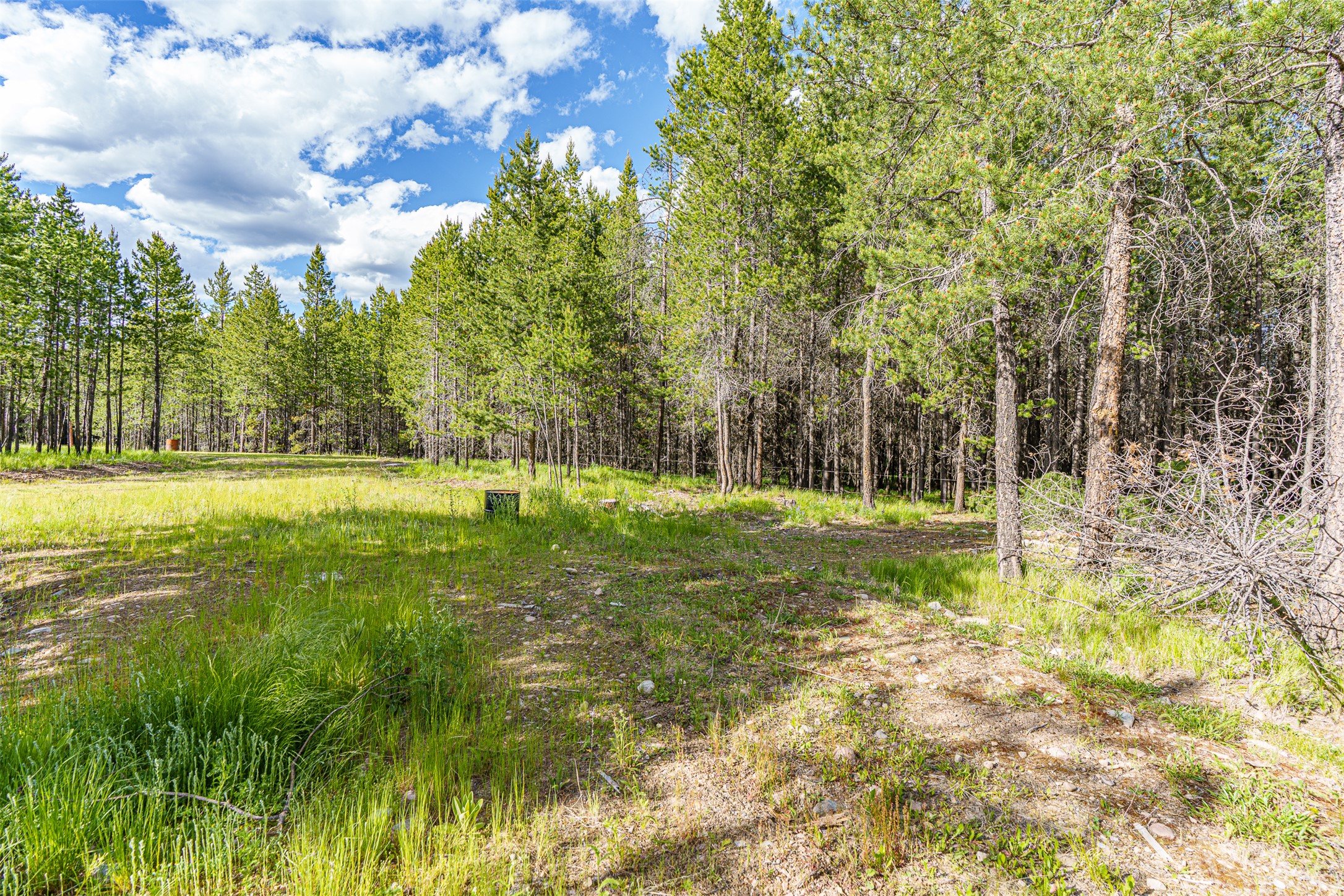 675 Griz Lane Property Photo 43