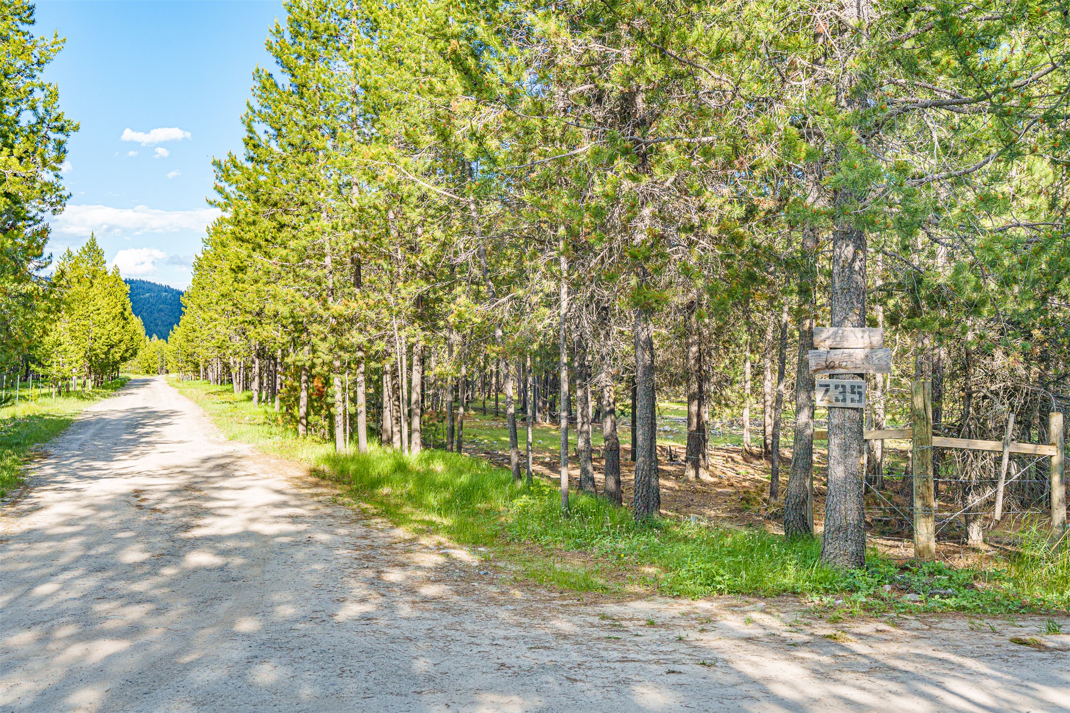 675 Griz Lane Property Photo 46